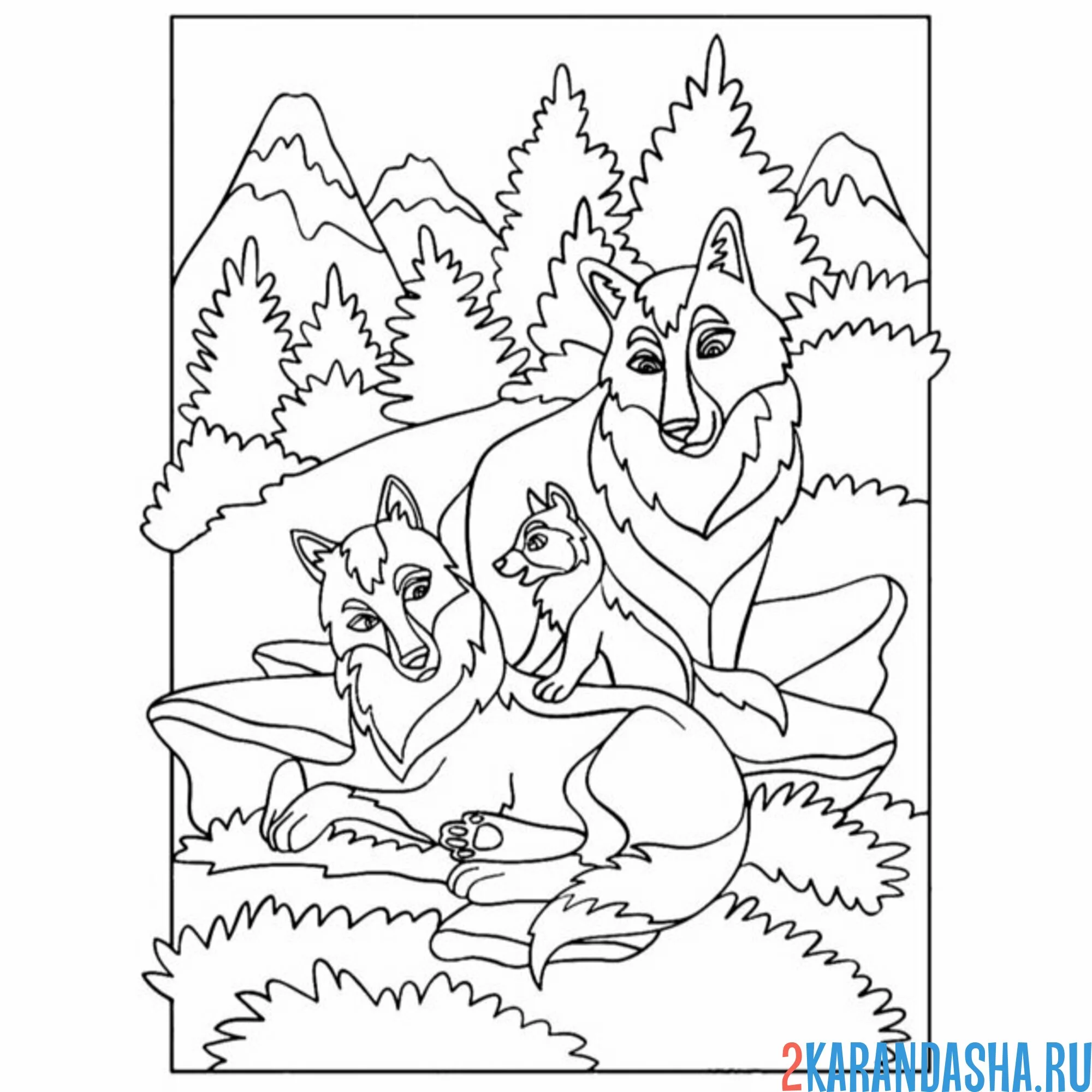 Раскраска волк и волчица