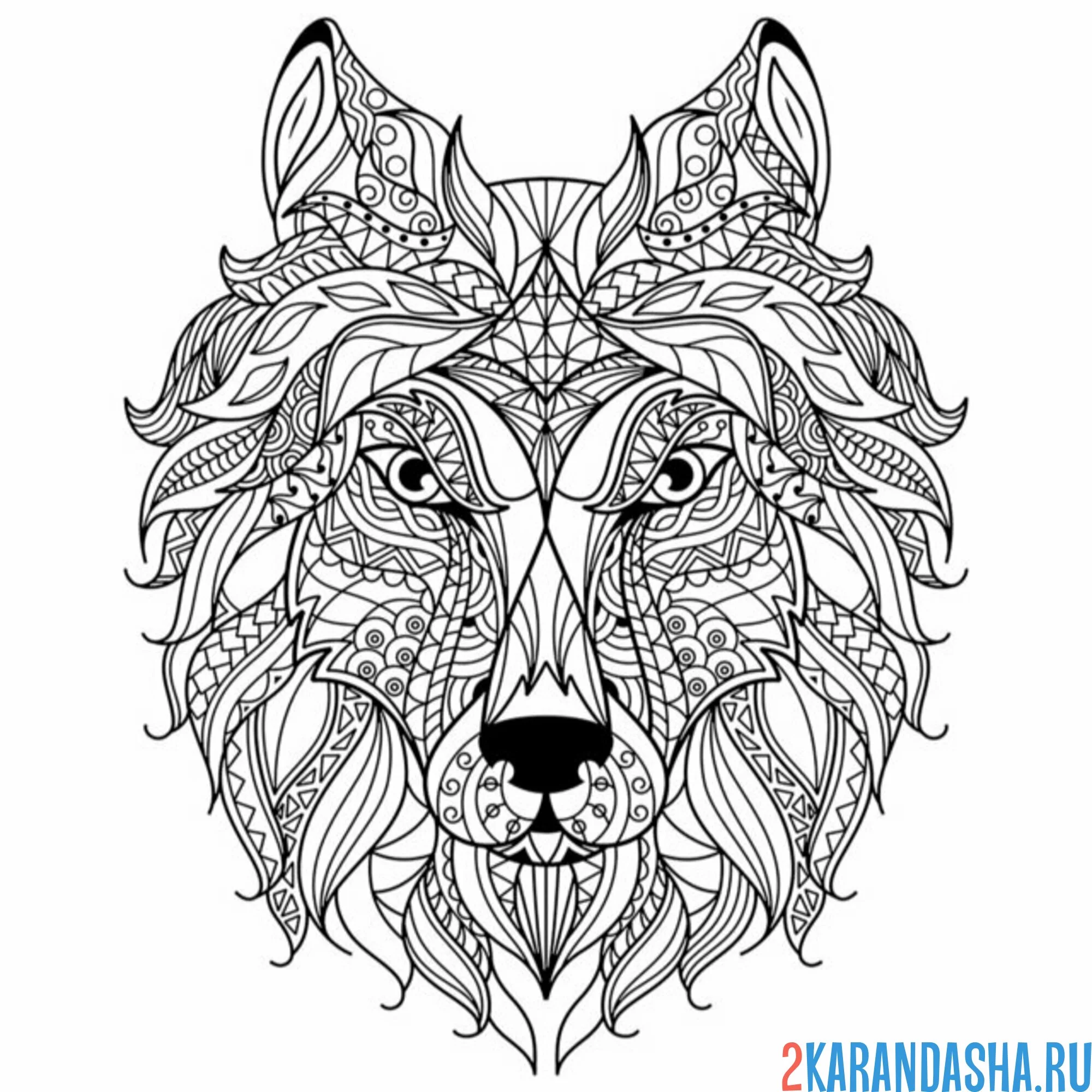 Раскраска голова волка антистресс