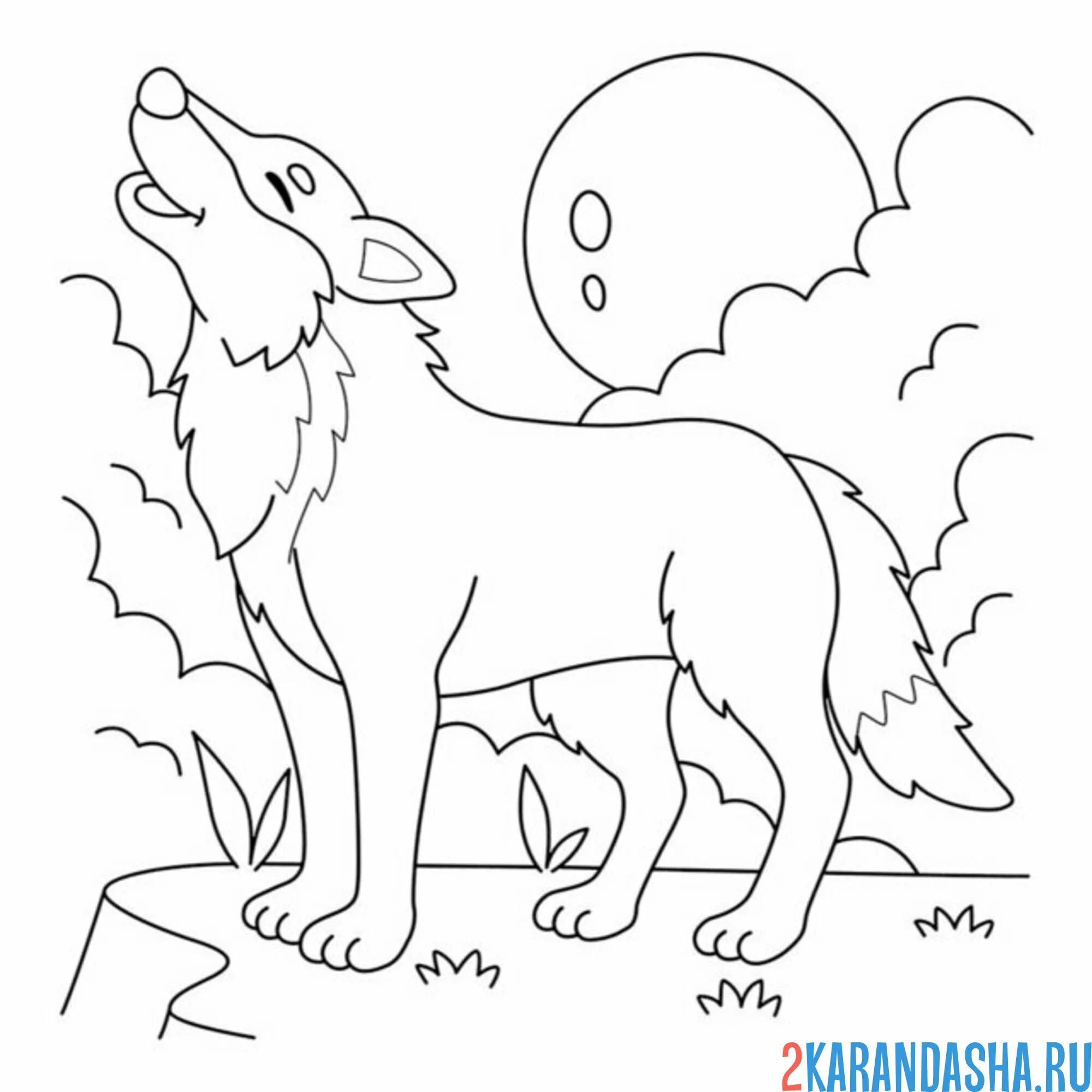 Раскраска лесной волк воет на луну