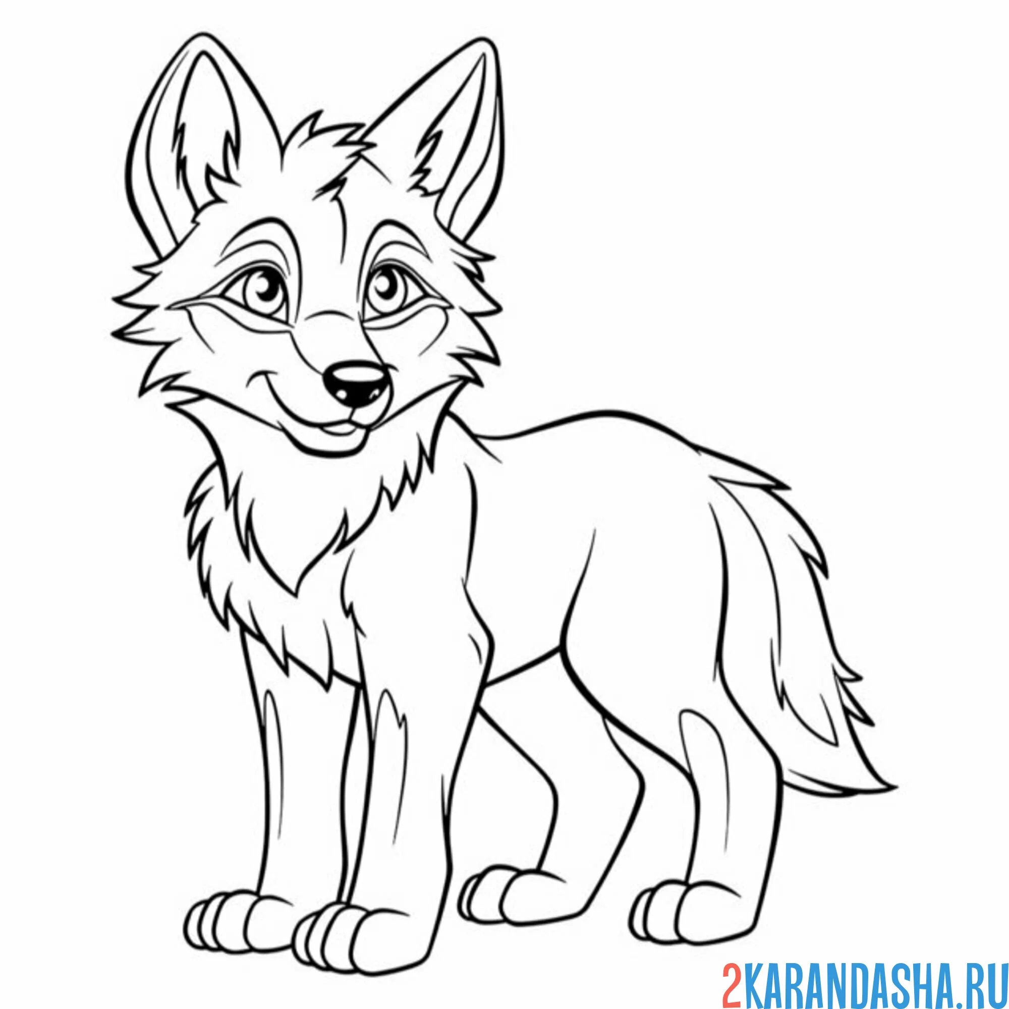 Раскраска волк красивый