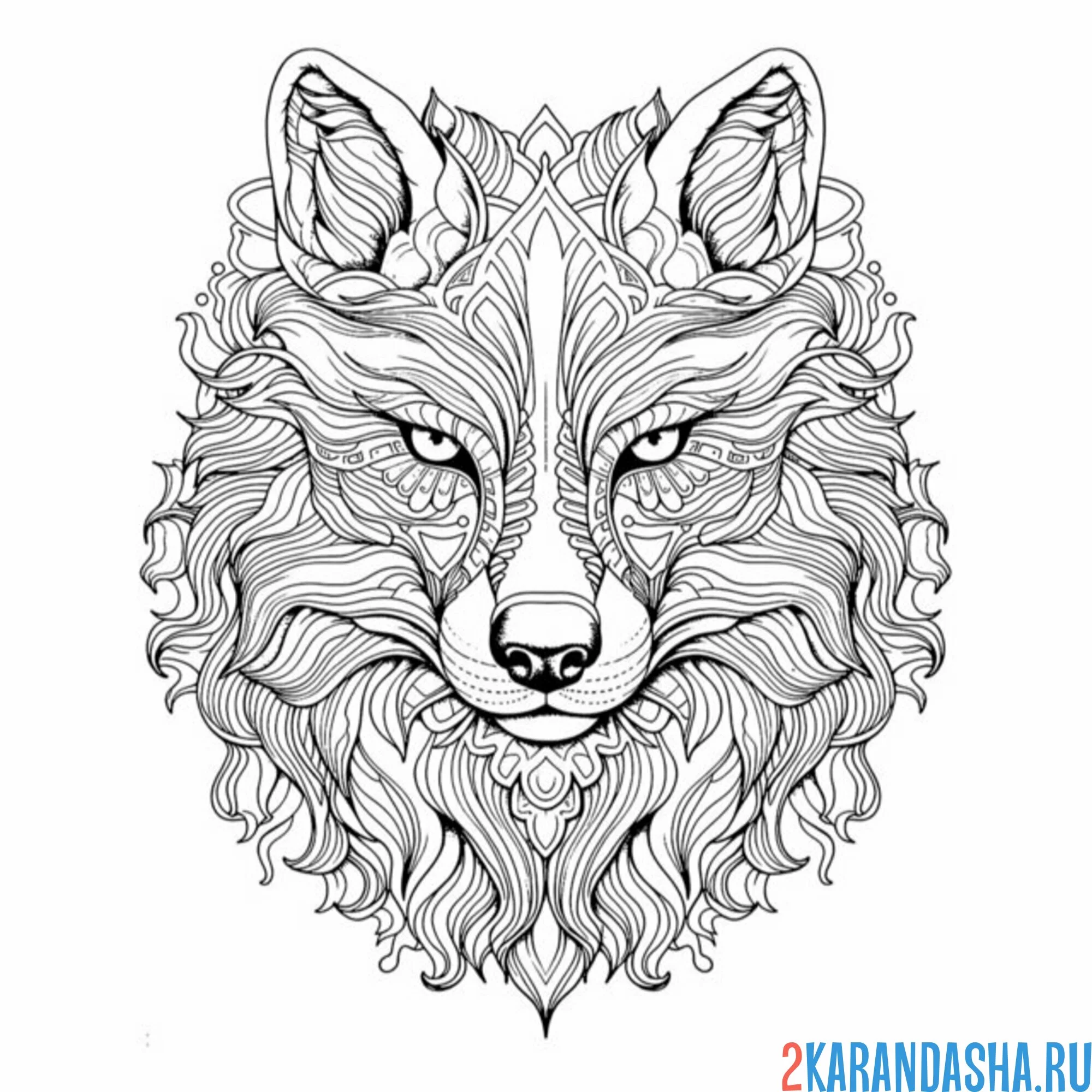 Раскраска антистресс суровый волк
