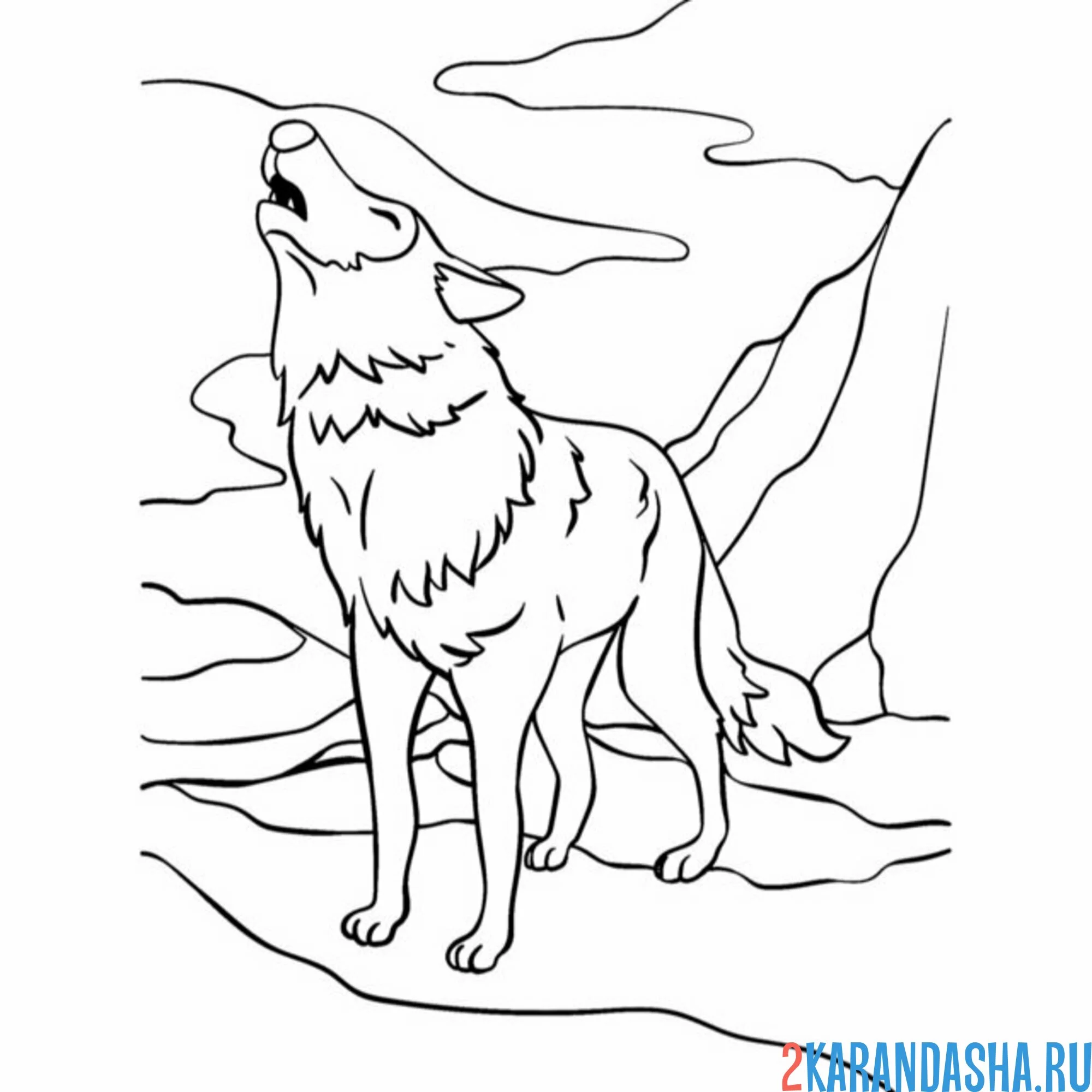 Раскраска волк зовет стаю