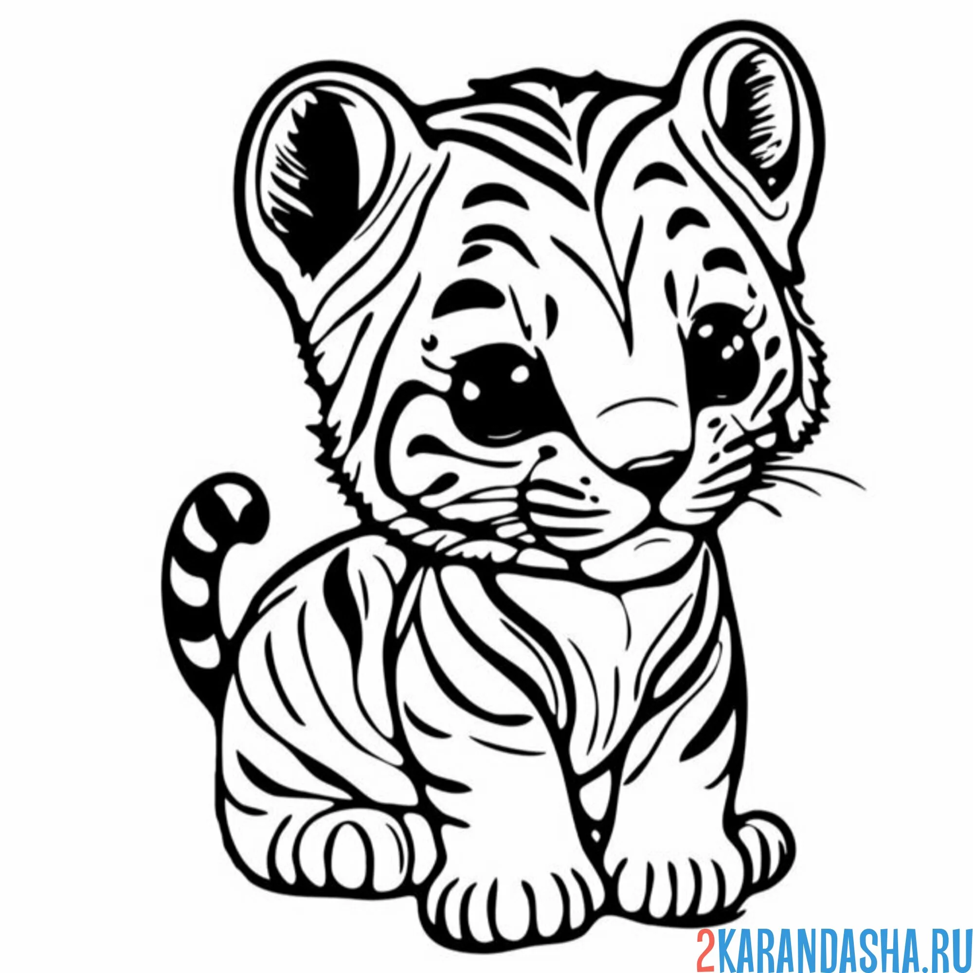 Раскраска малыш тигренок
