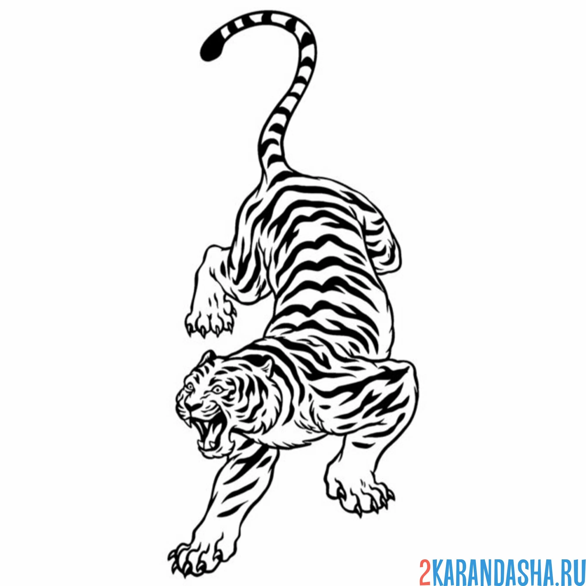 Раскраска саблезубый тигр опасный