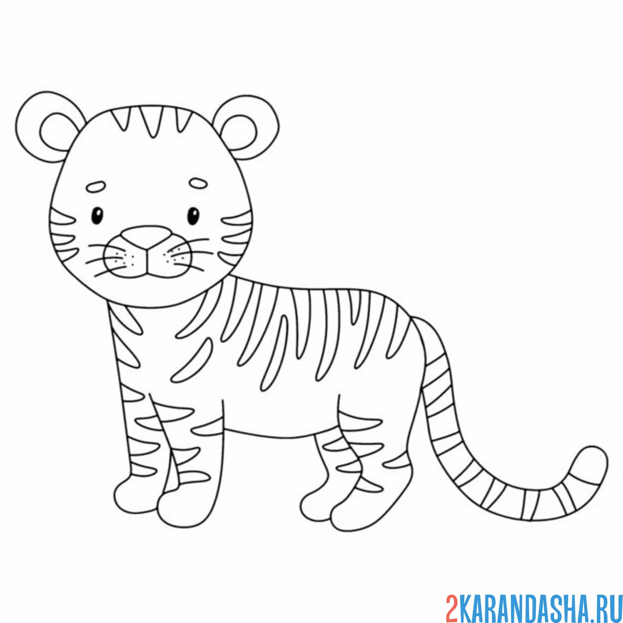Раскраска тигр забавный большой
