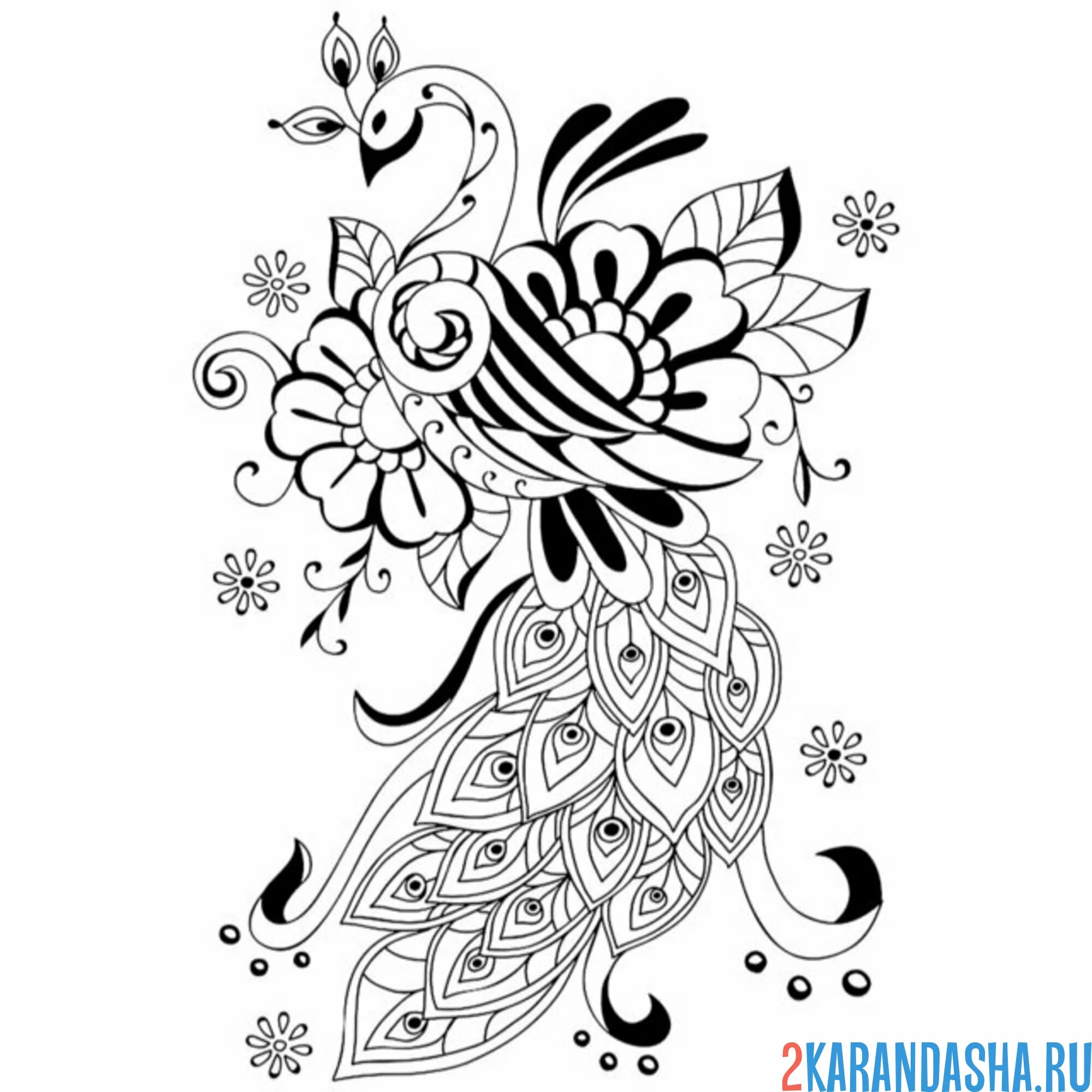 Раскраска винтажный павлин