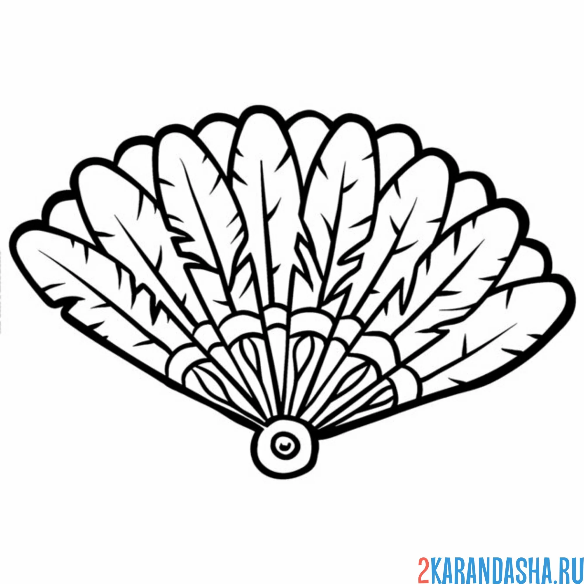 Раскраска веер из перьев павлина