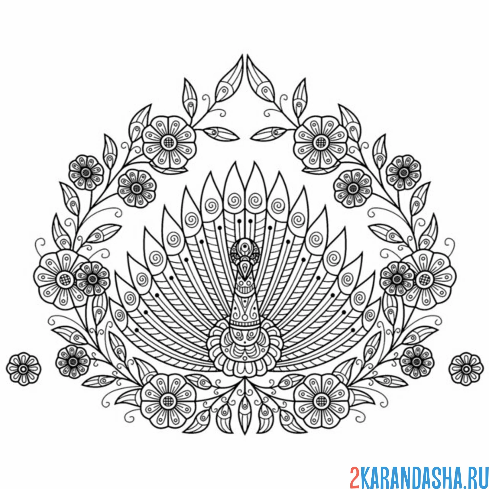 Раскраска антистресс павлин и цветы