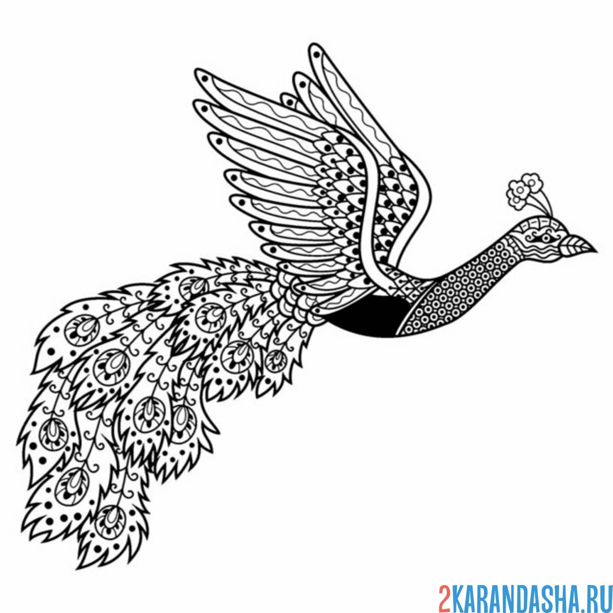 Раскраска антистресс павлин летит