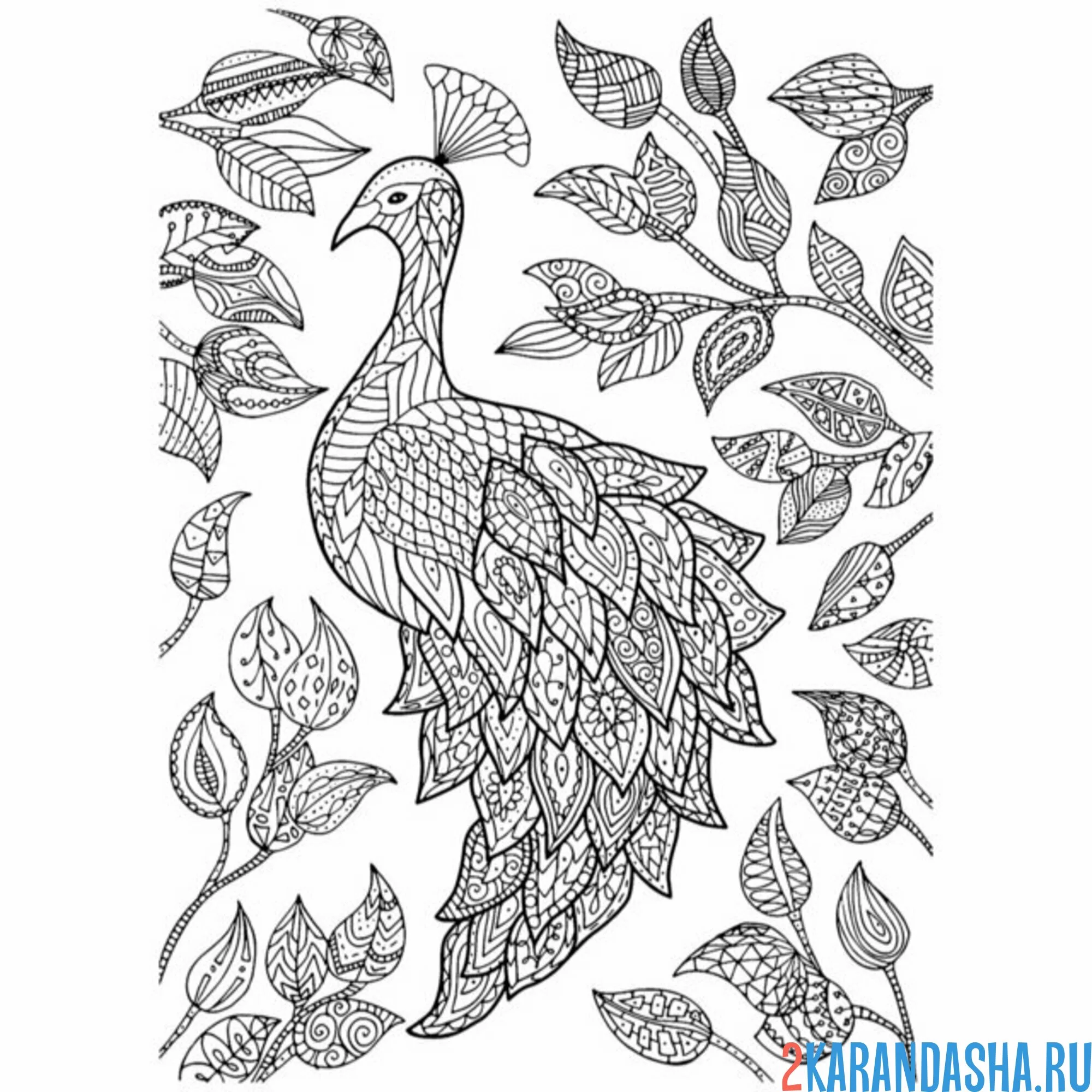 Раскраска павлин на дереве