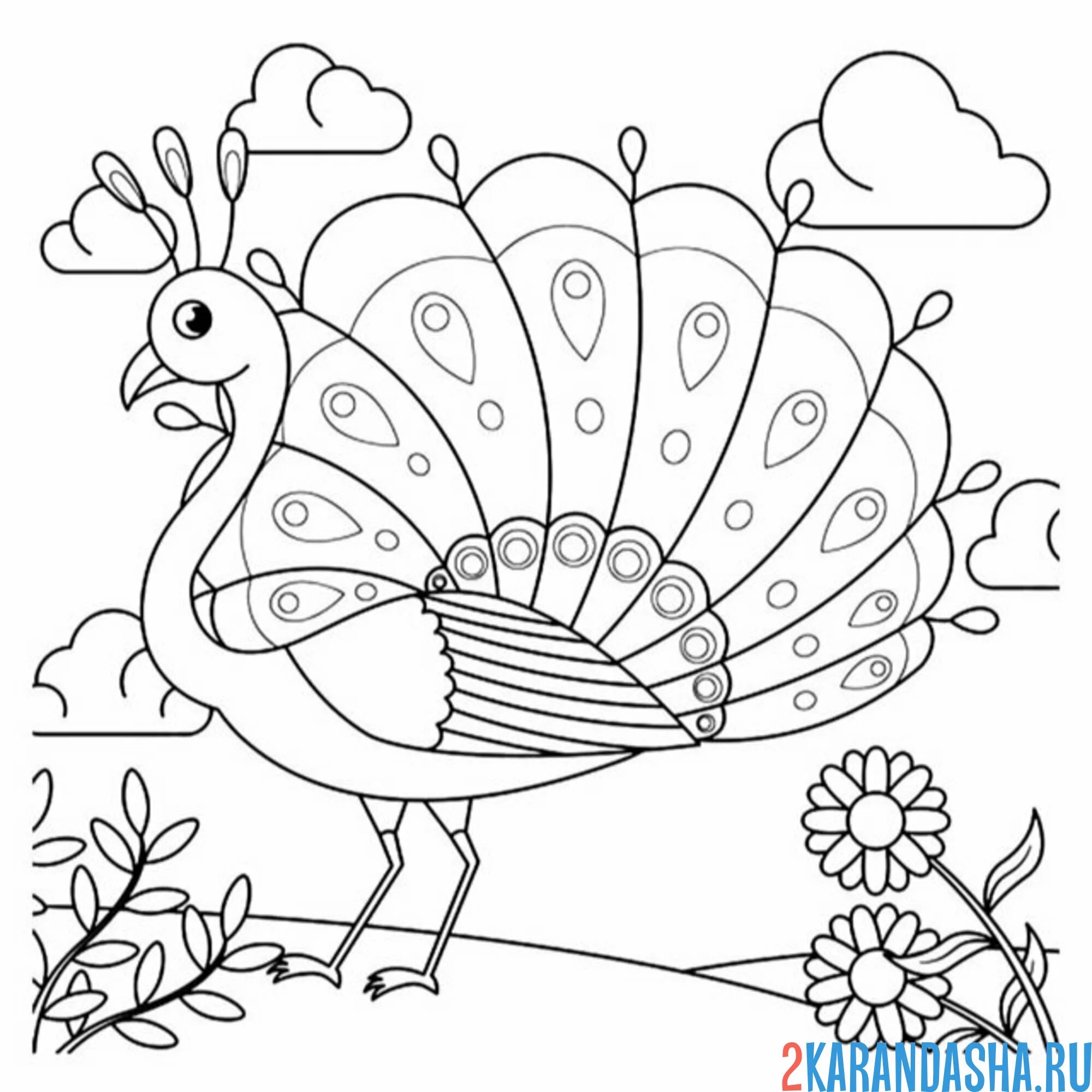 Раскраска павлин на природе