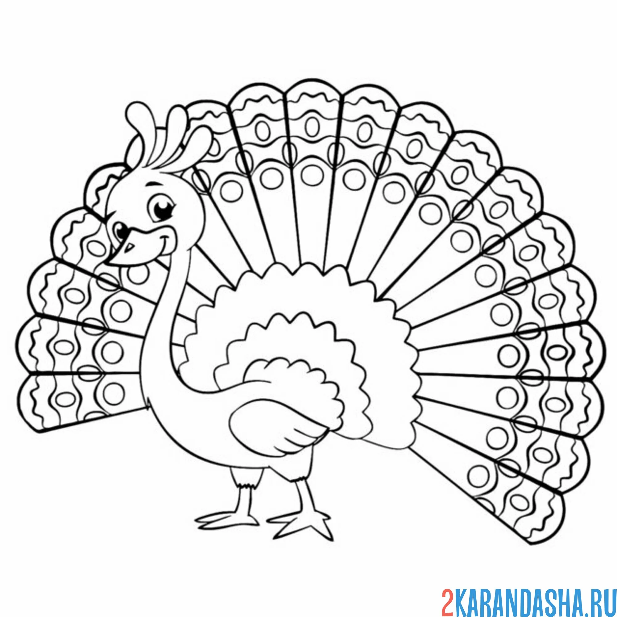 Раскраска павлин с хвостом
