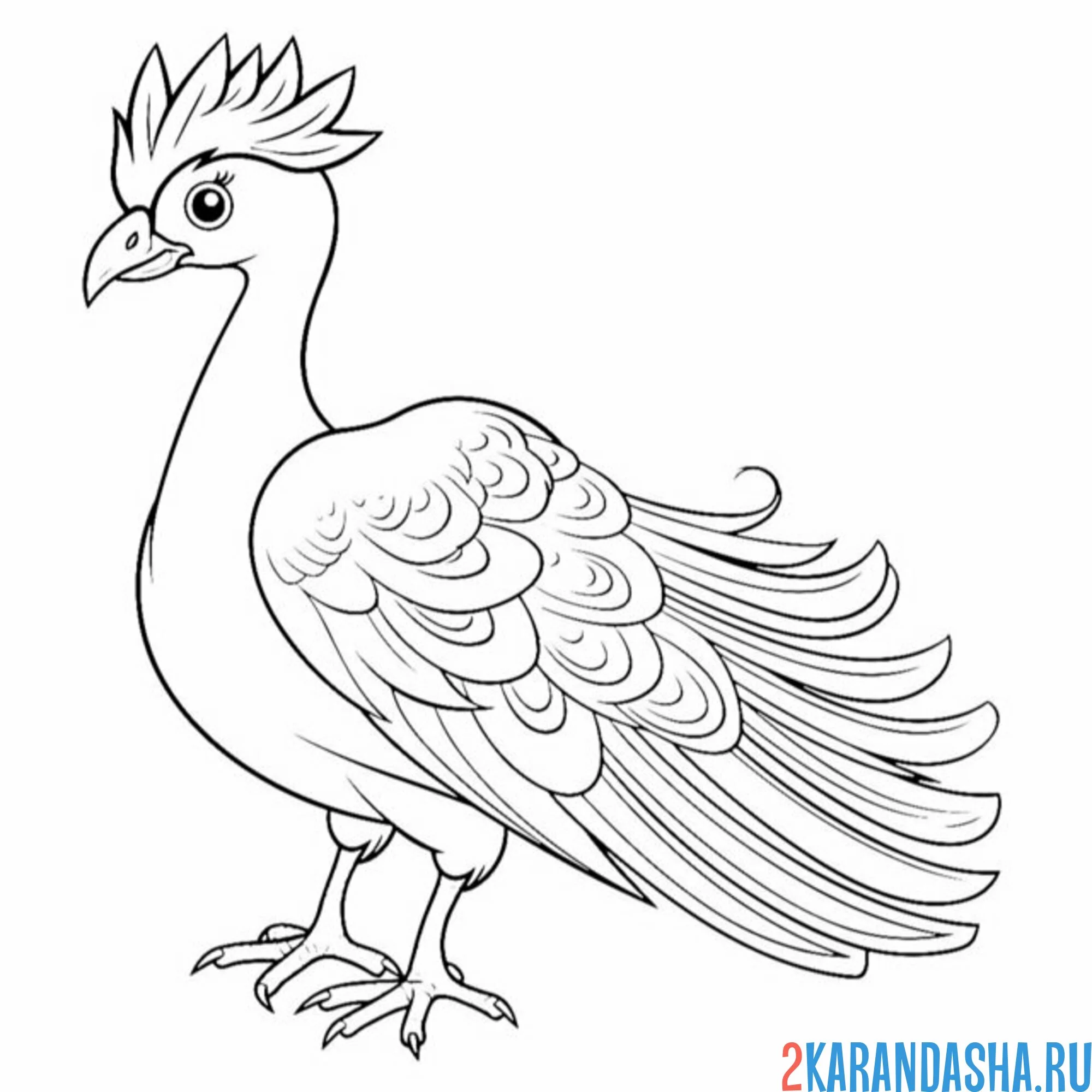 Раскраска павлин без хвоста