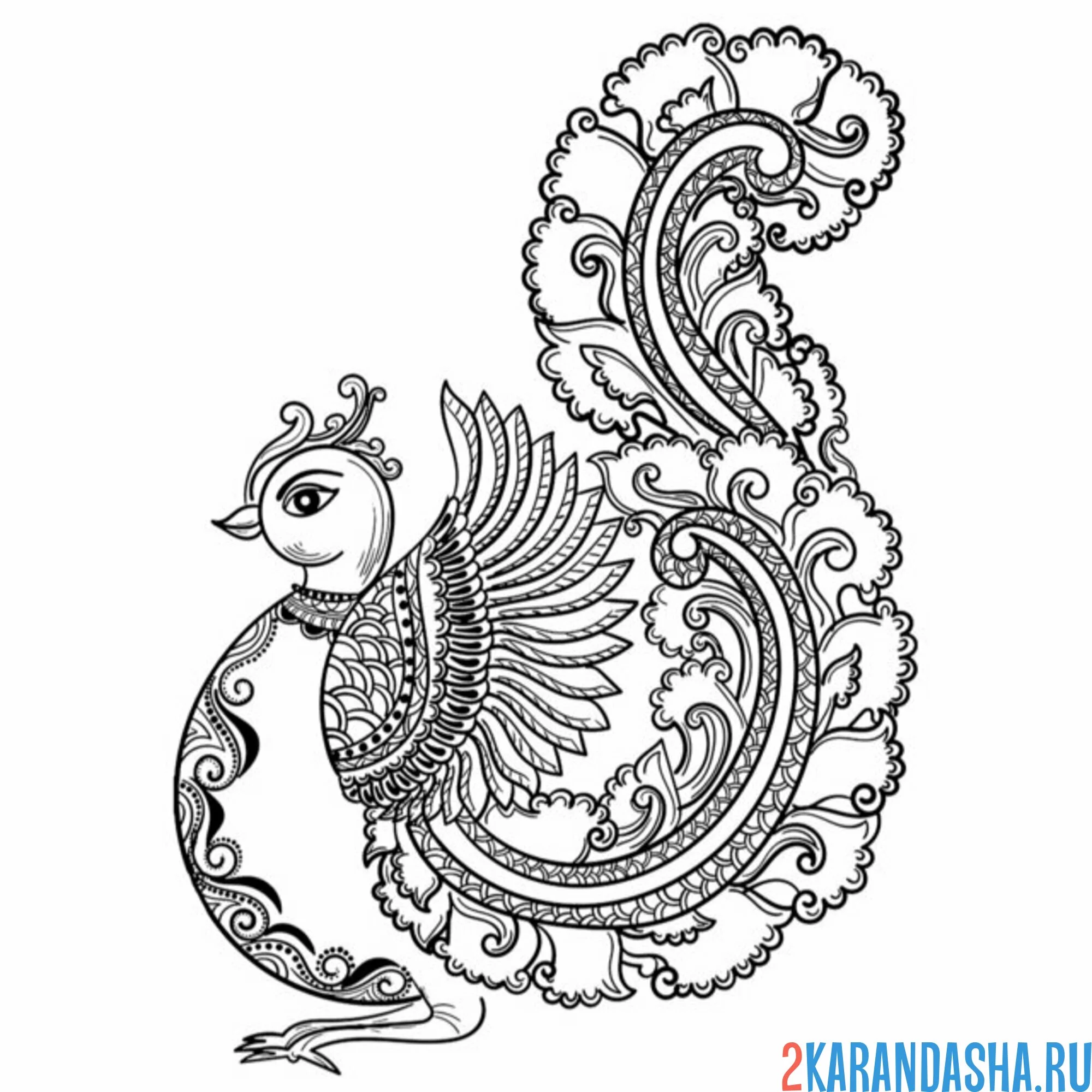 Раскраска павлин роспись