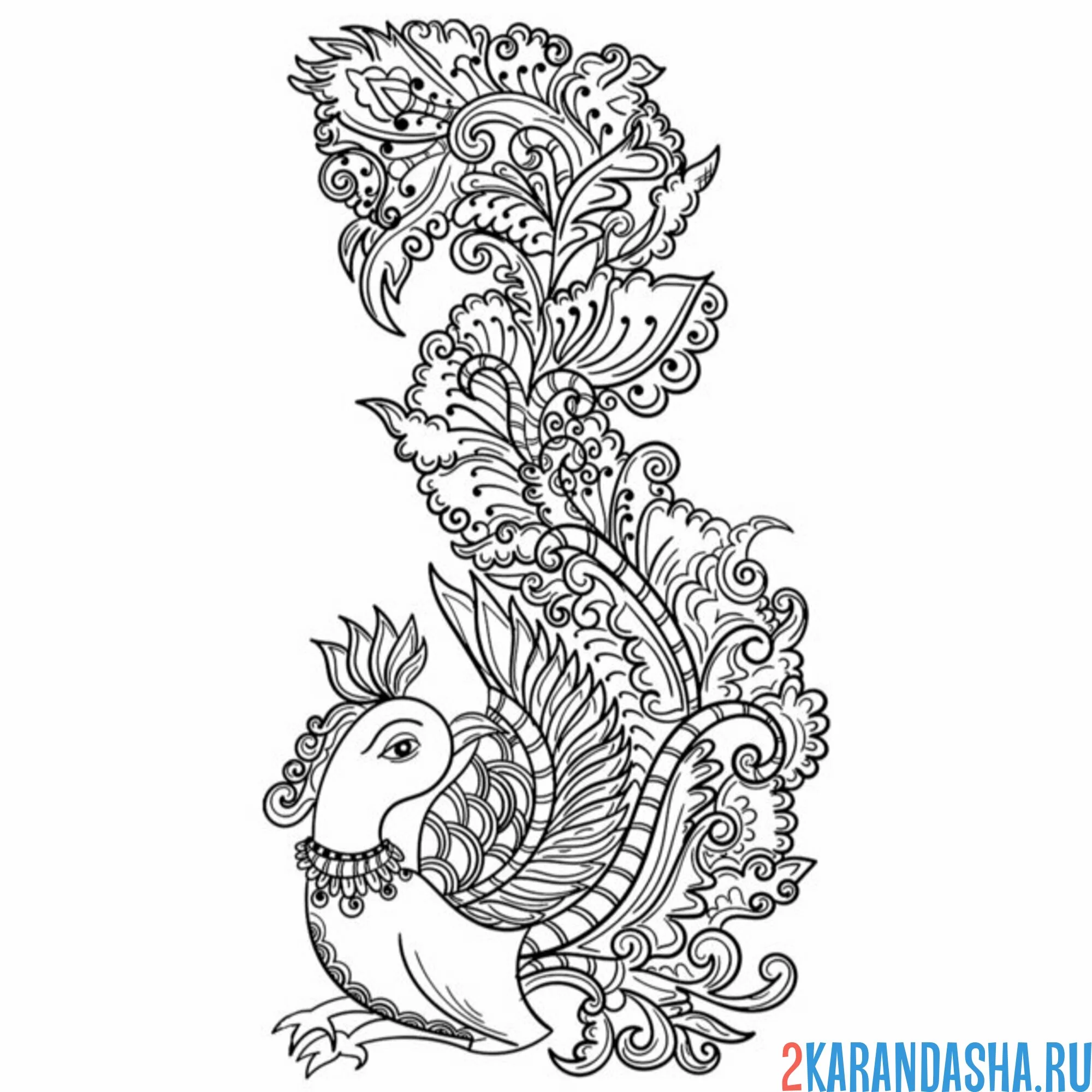 Раскраска хвост павлина узоры