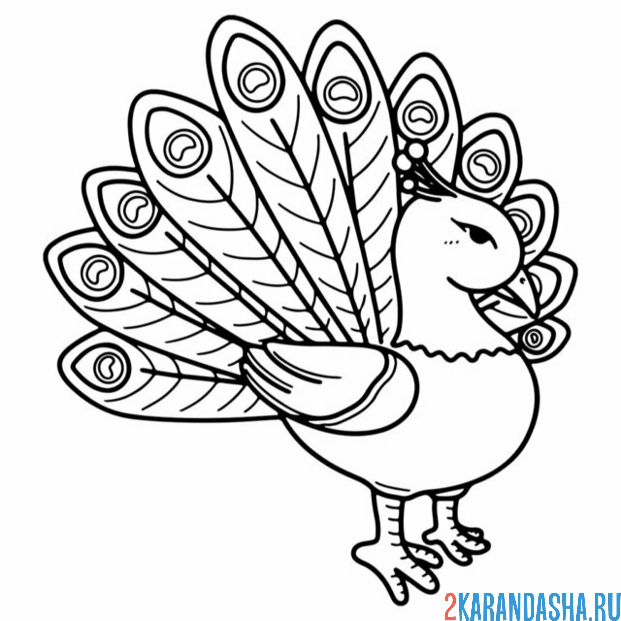 Раскраска птичка павлин