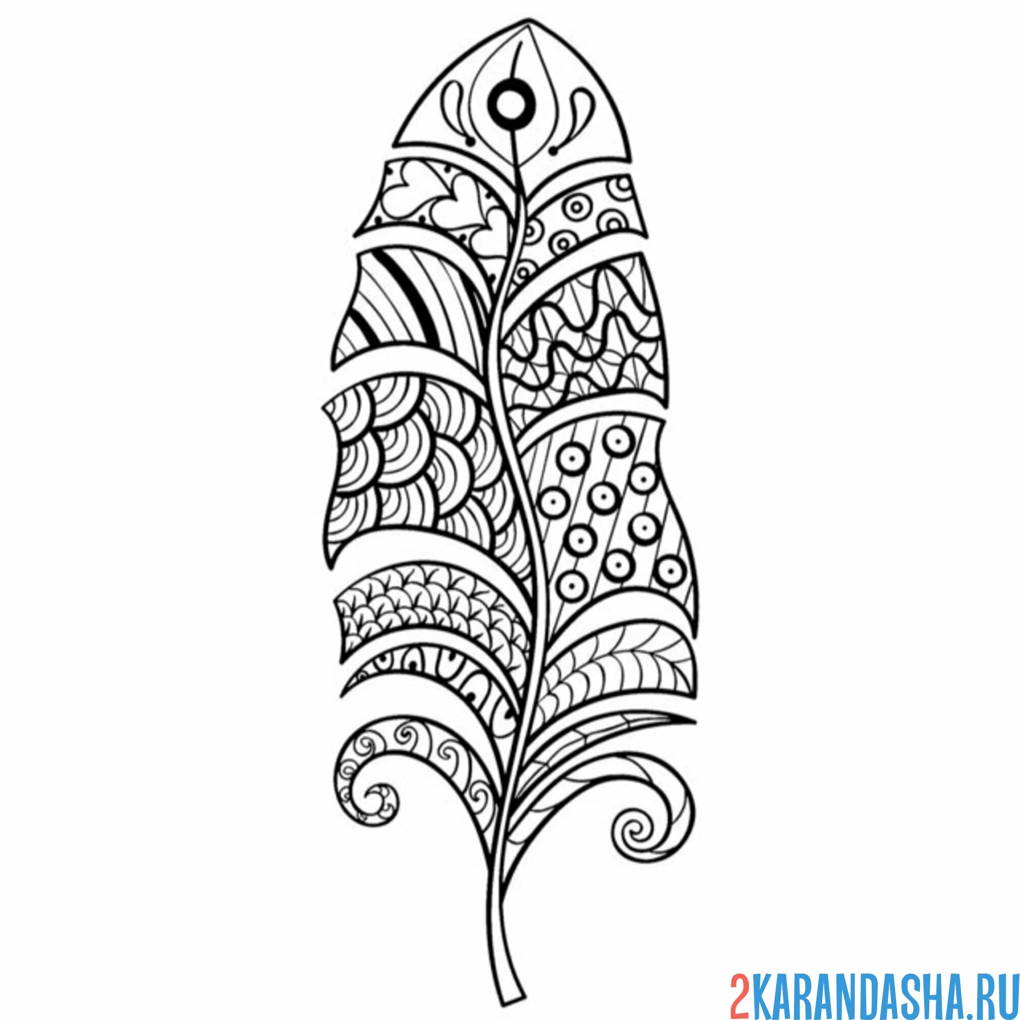 Раскраска антистресс перо павлина