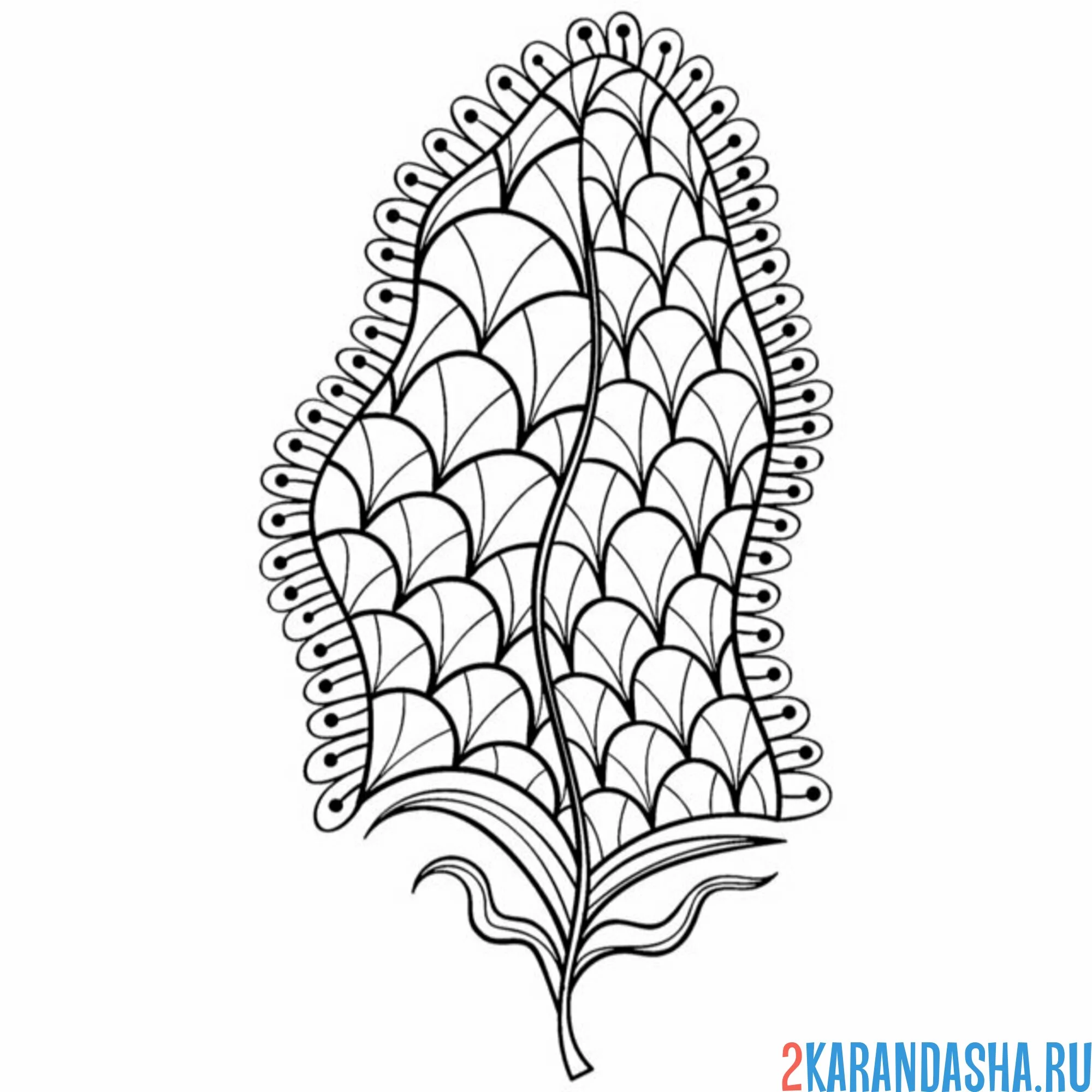 Раскраска перо павлина антистресс
