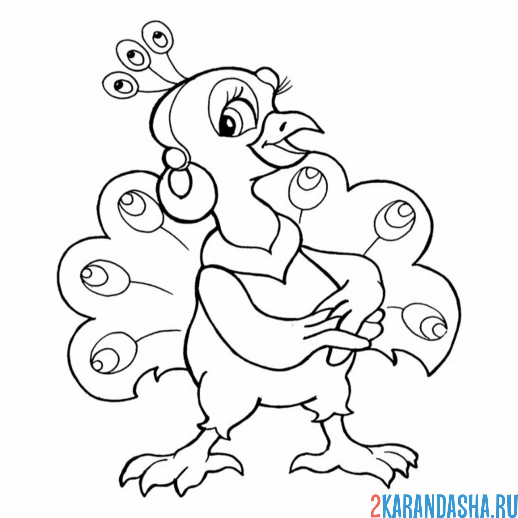 Раскраска деловой павлин