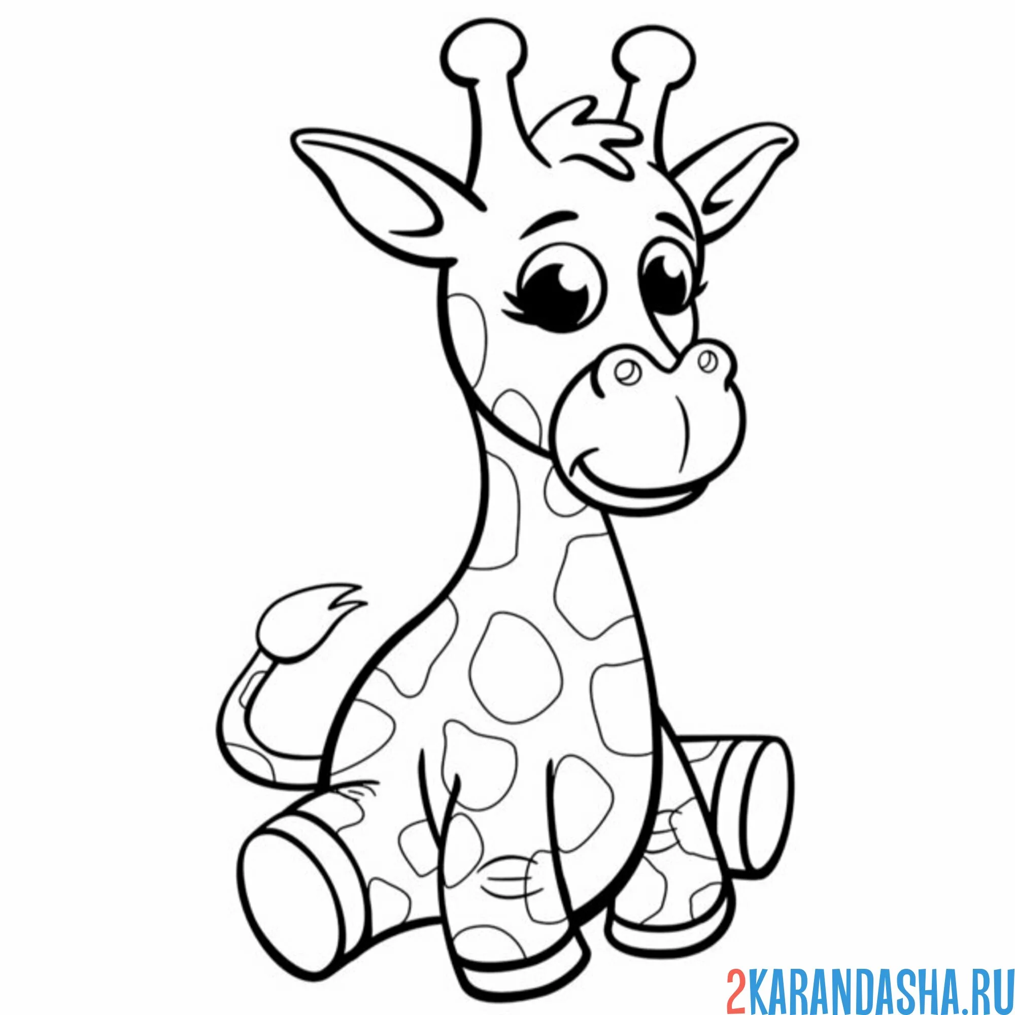 Раскраска жирафик сидит