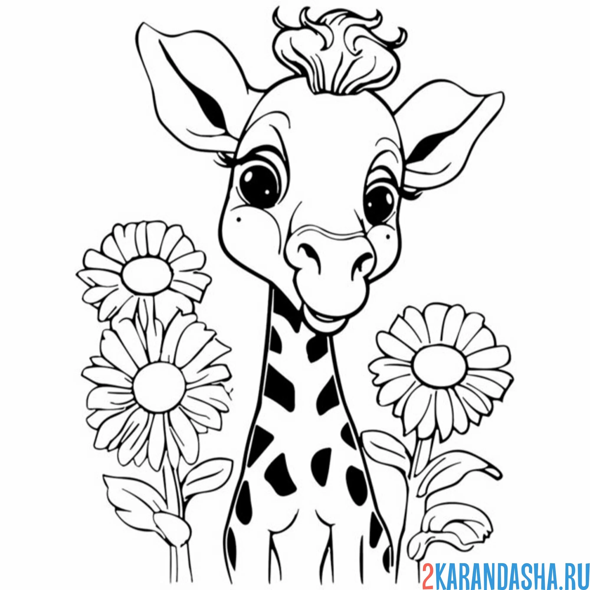 Раскраска жираф и цветы