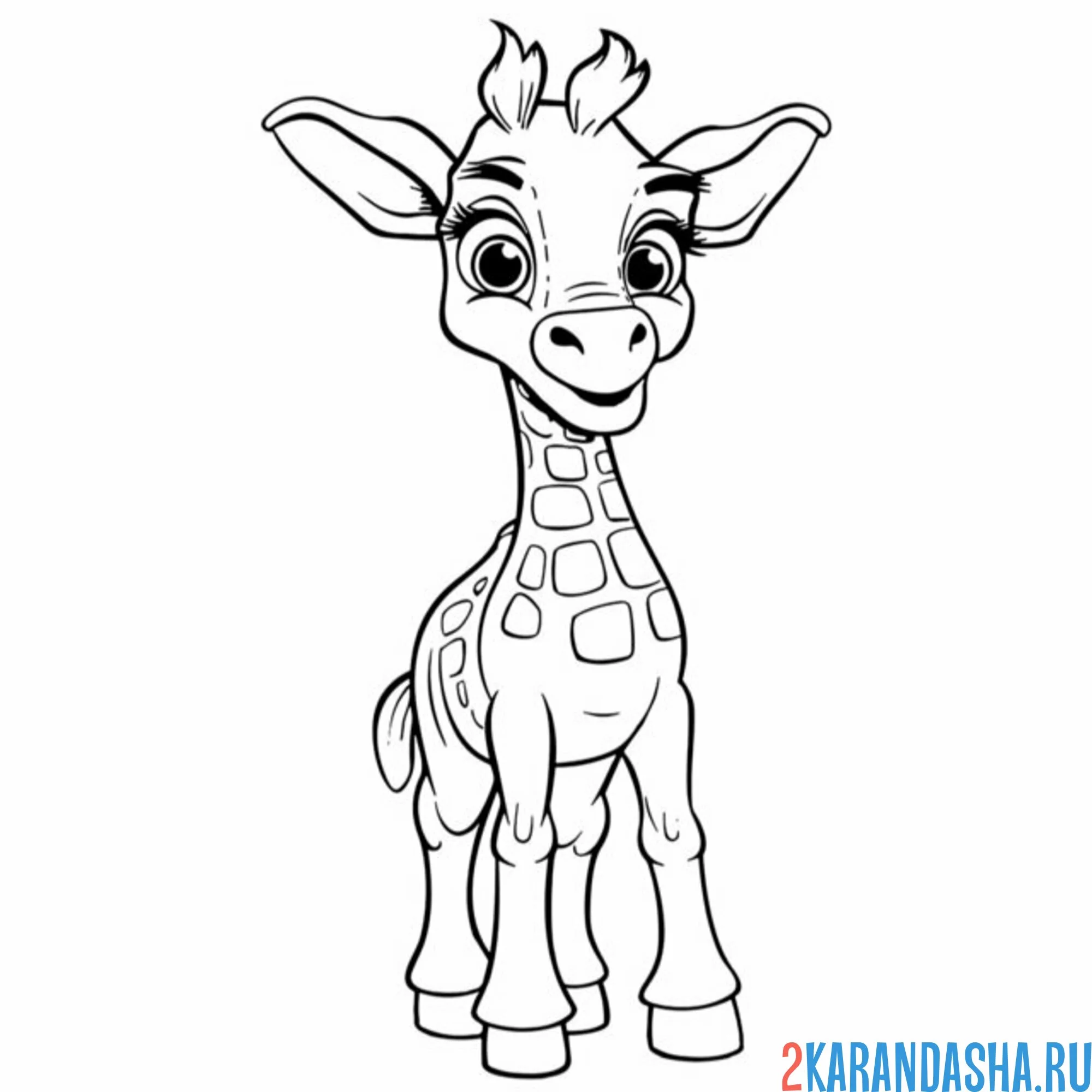 Раскраска малыш-жирафик