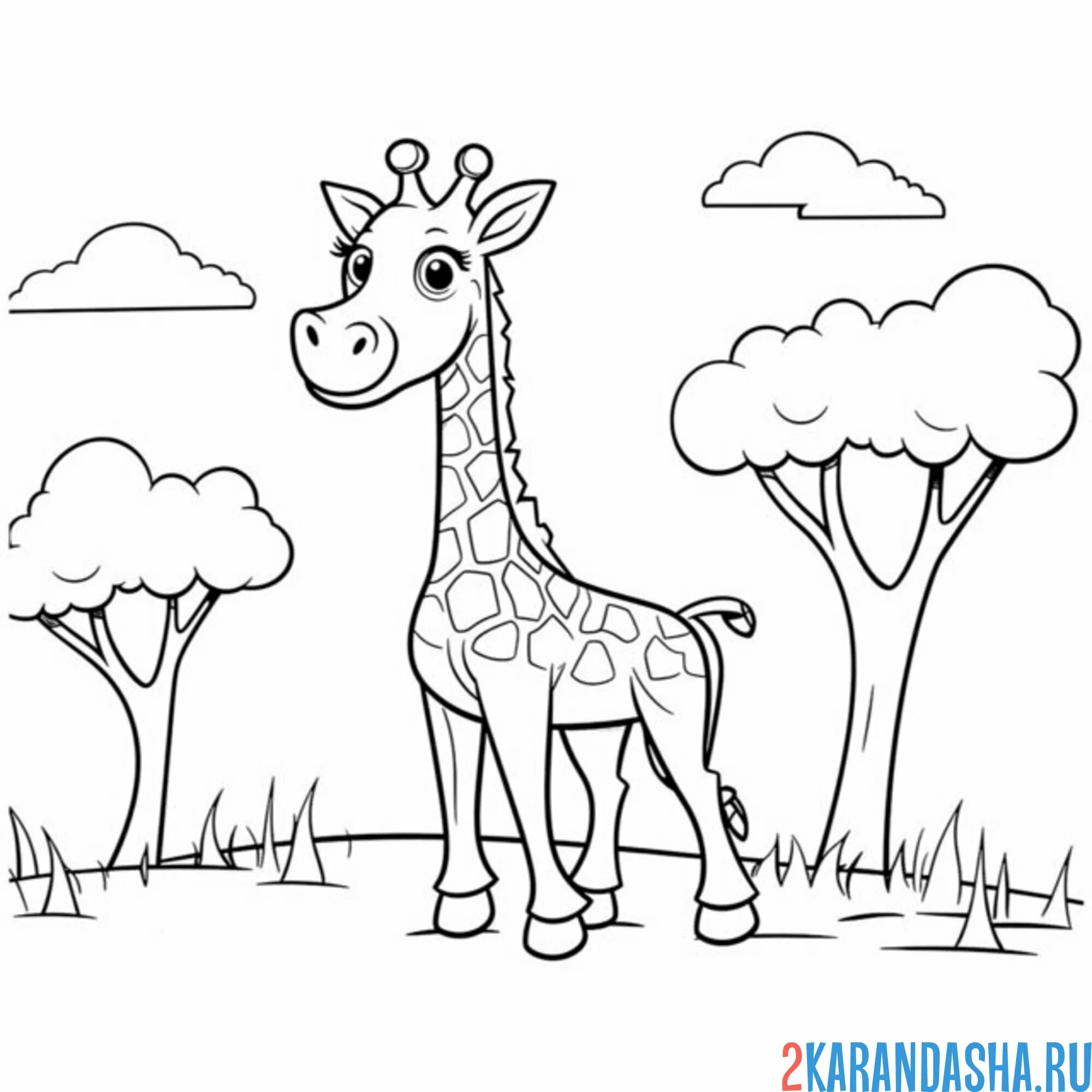 Раскраска жираф около дерева
