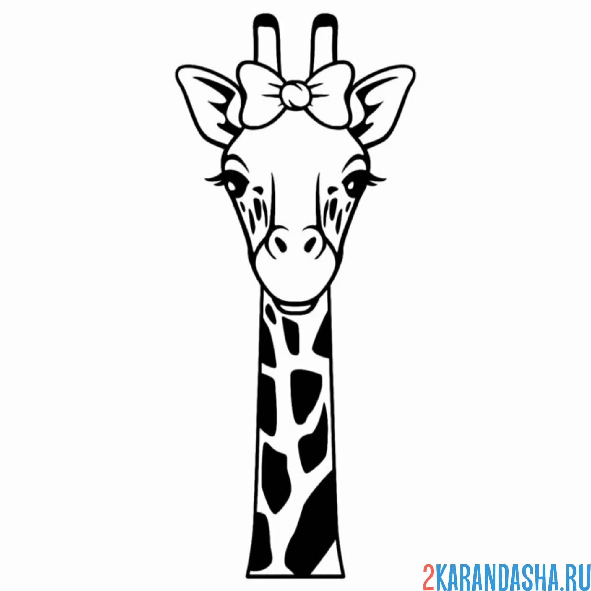 Раскраска голова жирафа с бантом
