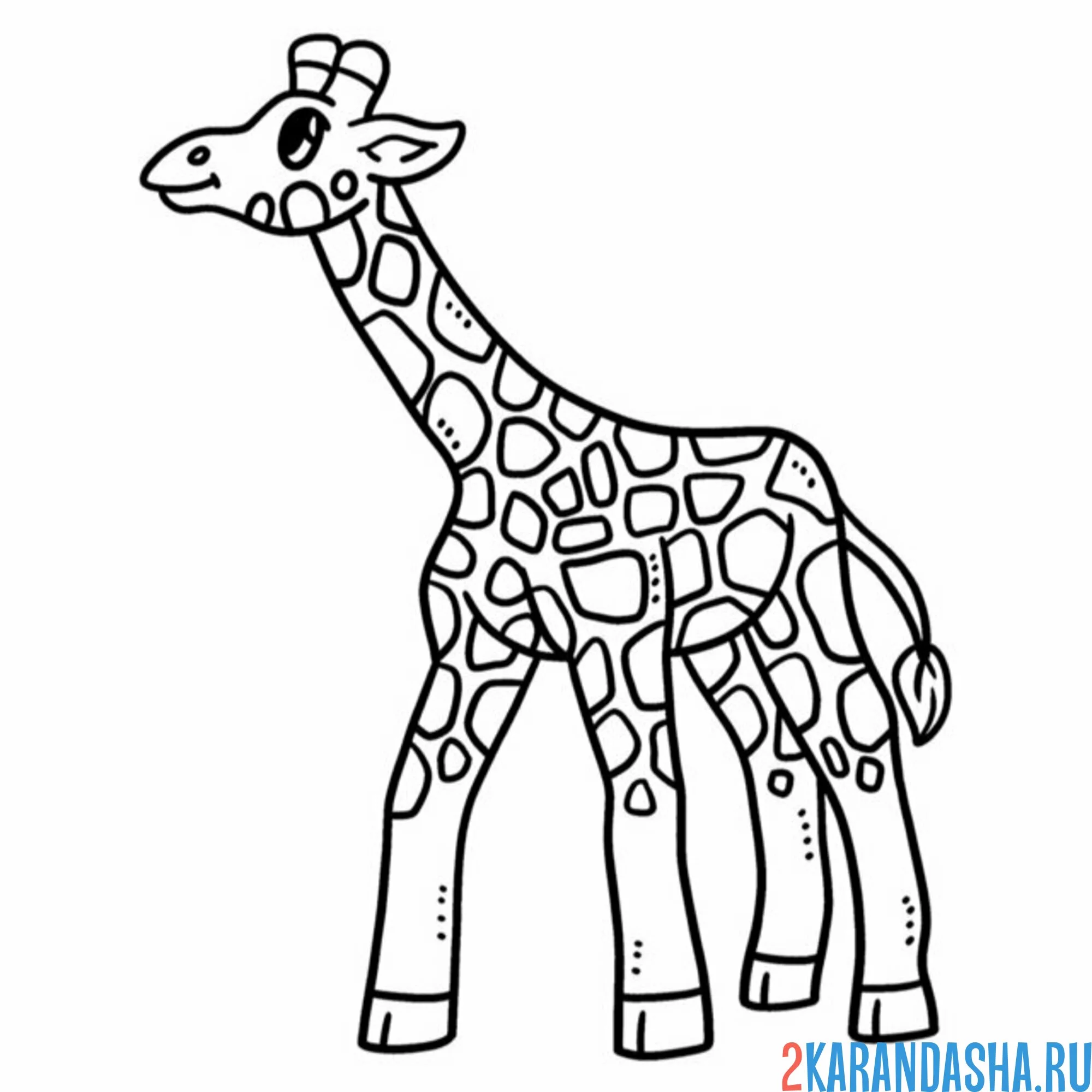 Раскраска жираф смотрит в небо
