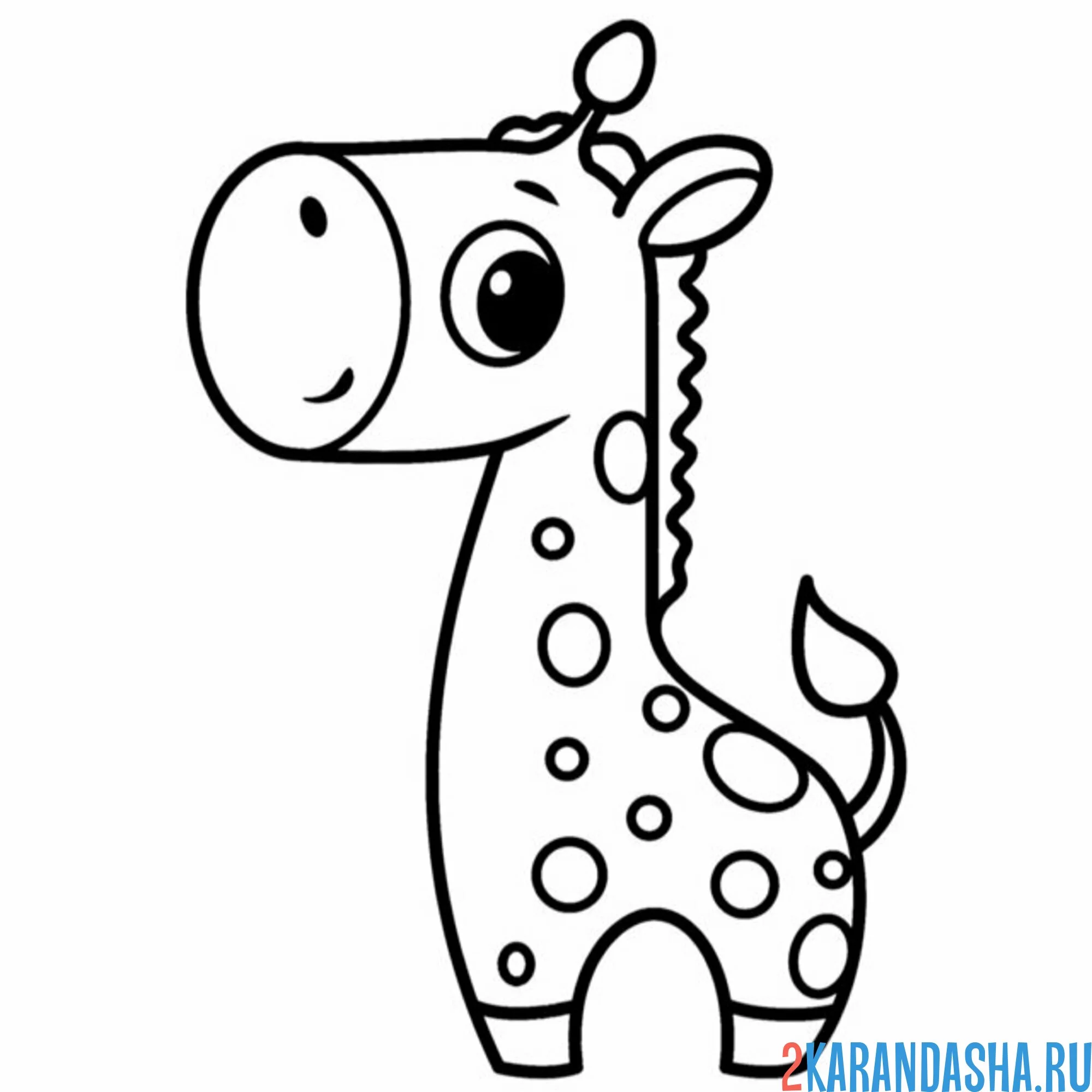 Раскраска маленький жирафик