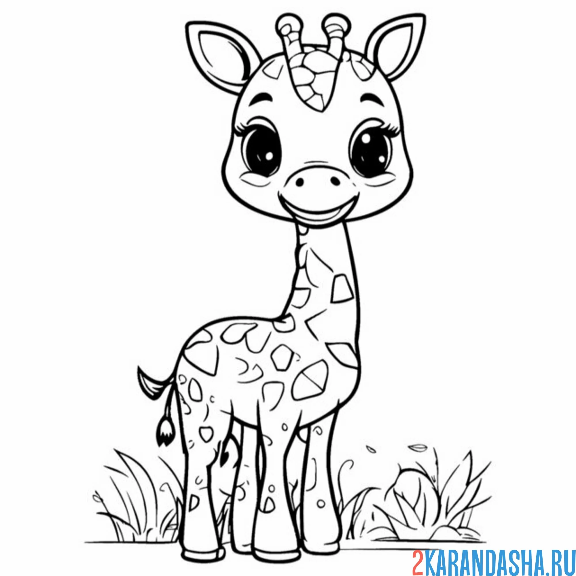 Раскраска иллюстрация жираф