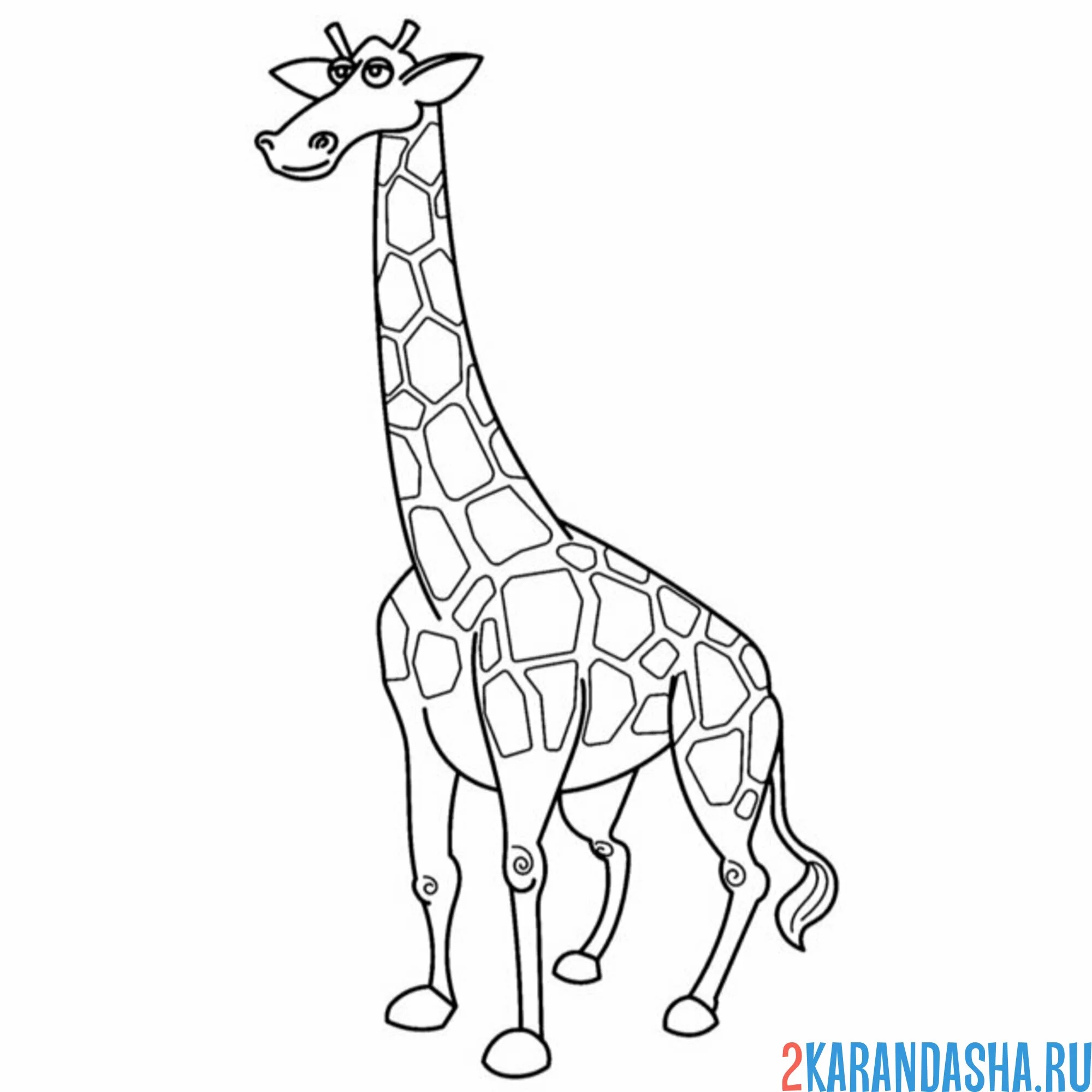 Раскраска смешной жираф