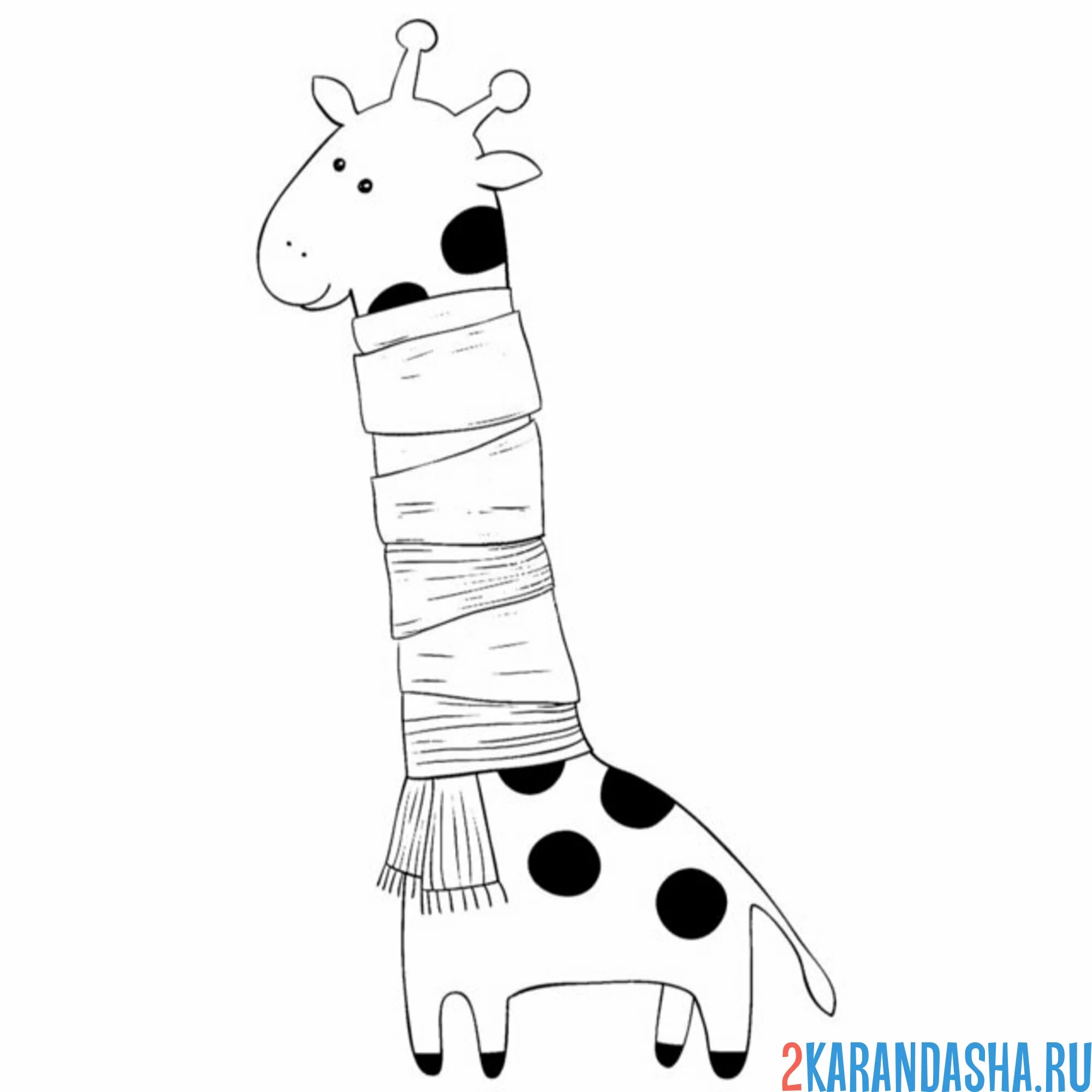 Раскраска жираф с шарфом