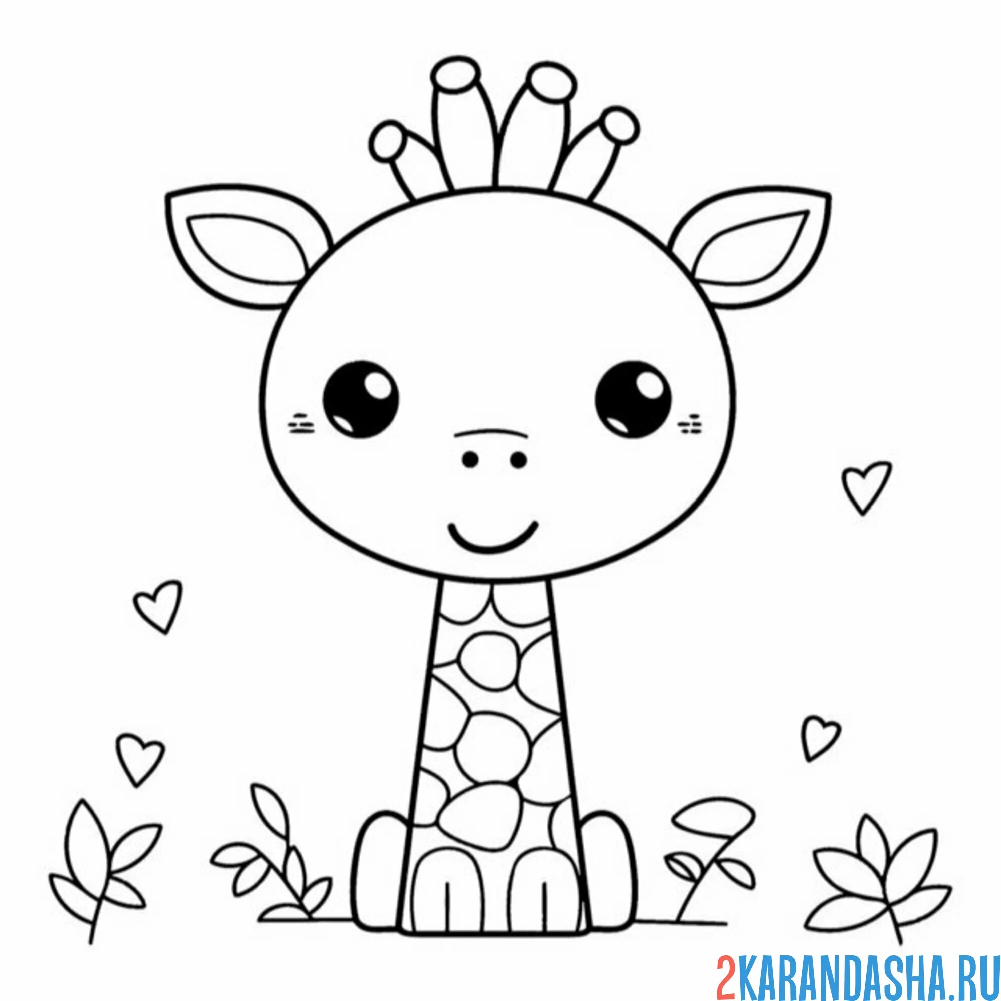 Раскраска жираф простота