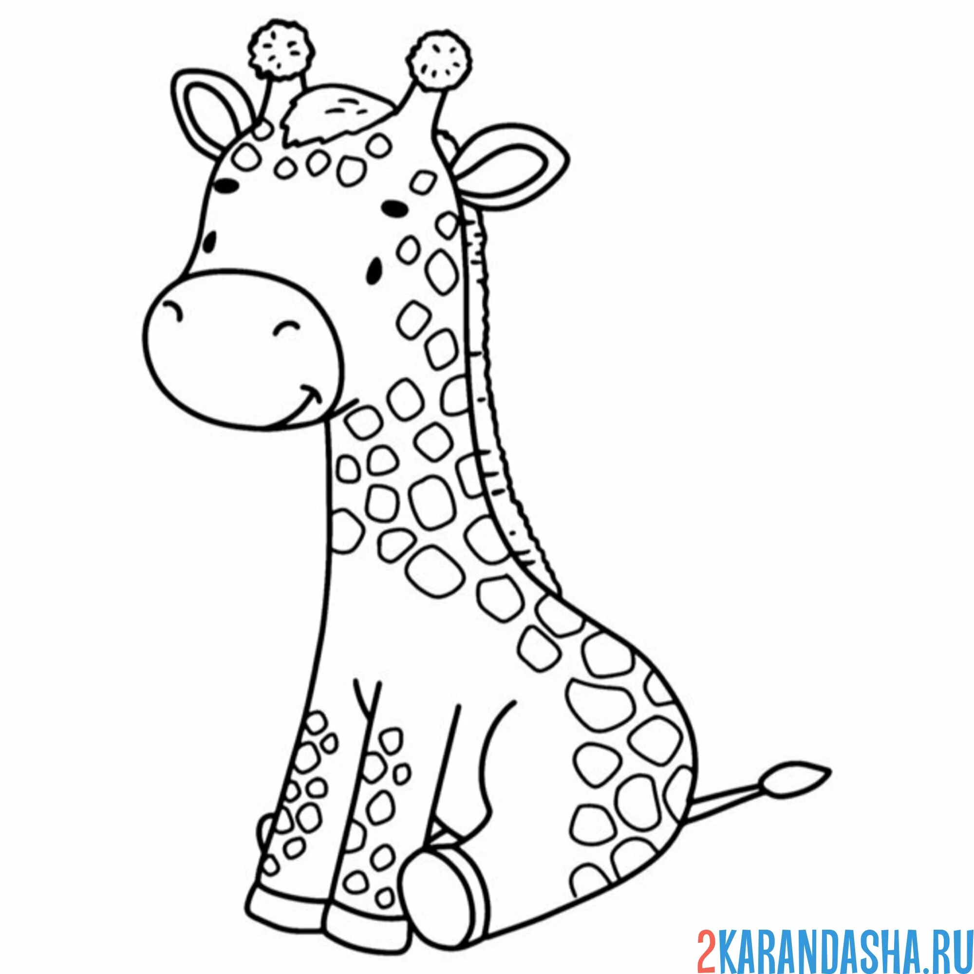 Раскраска жираф мило сидит