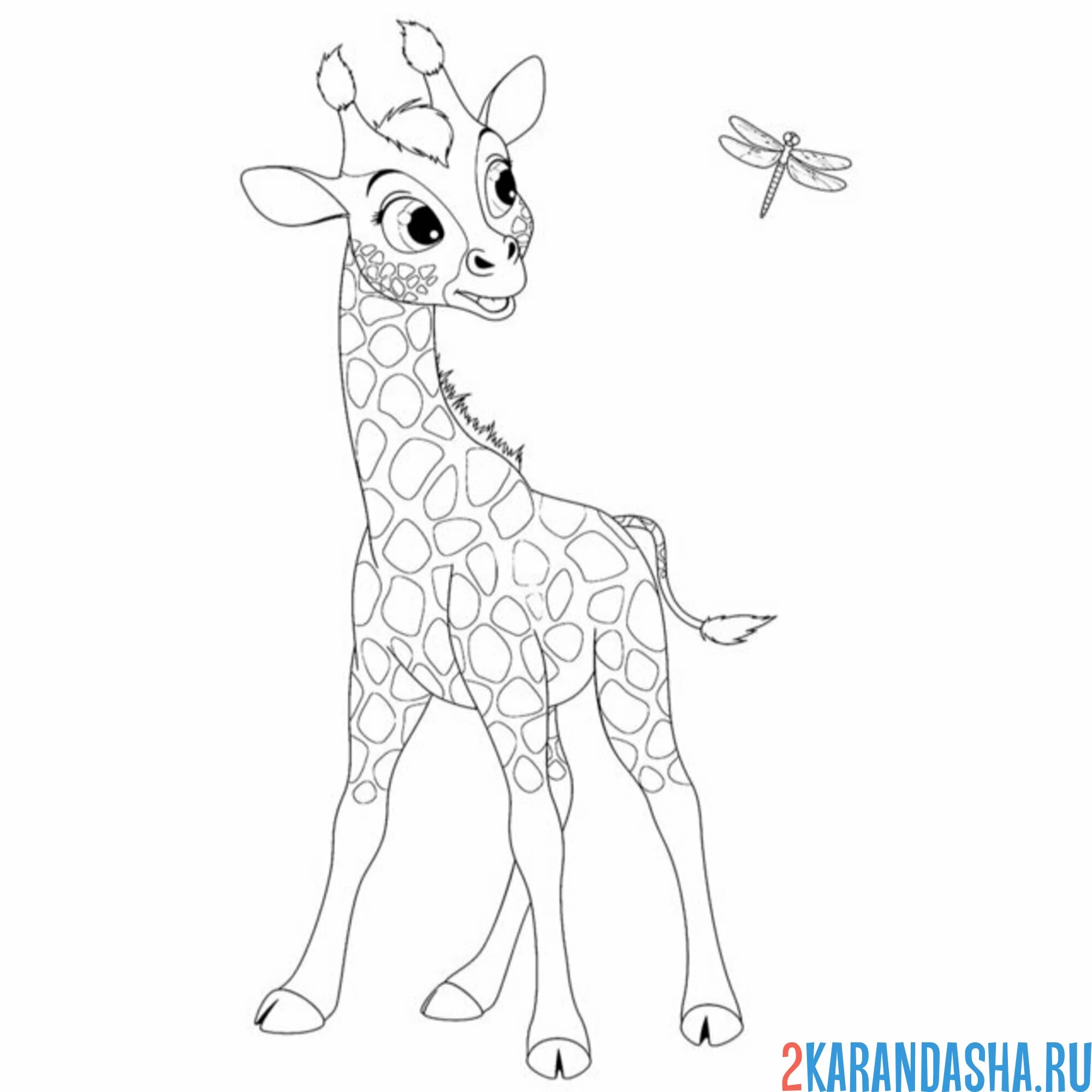 Раскраска жираф и бабочка