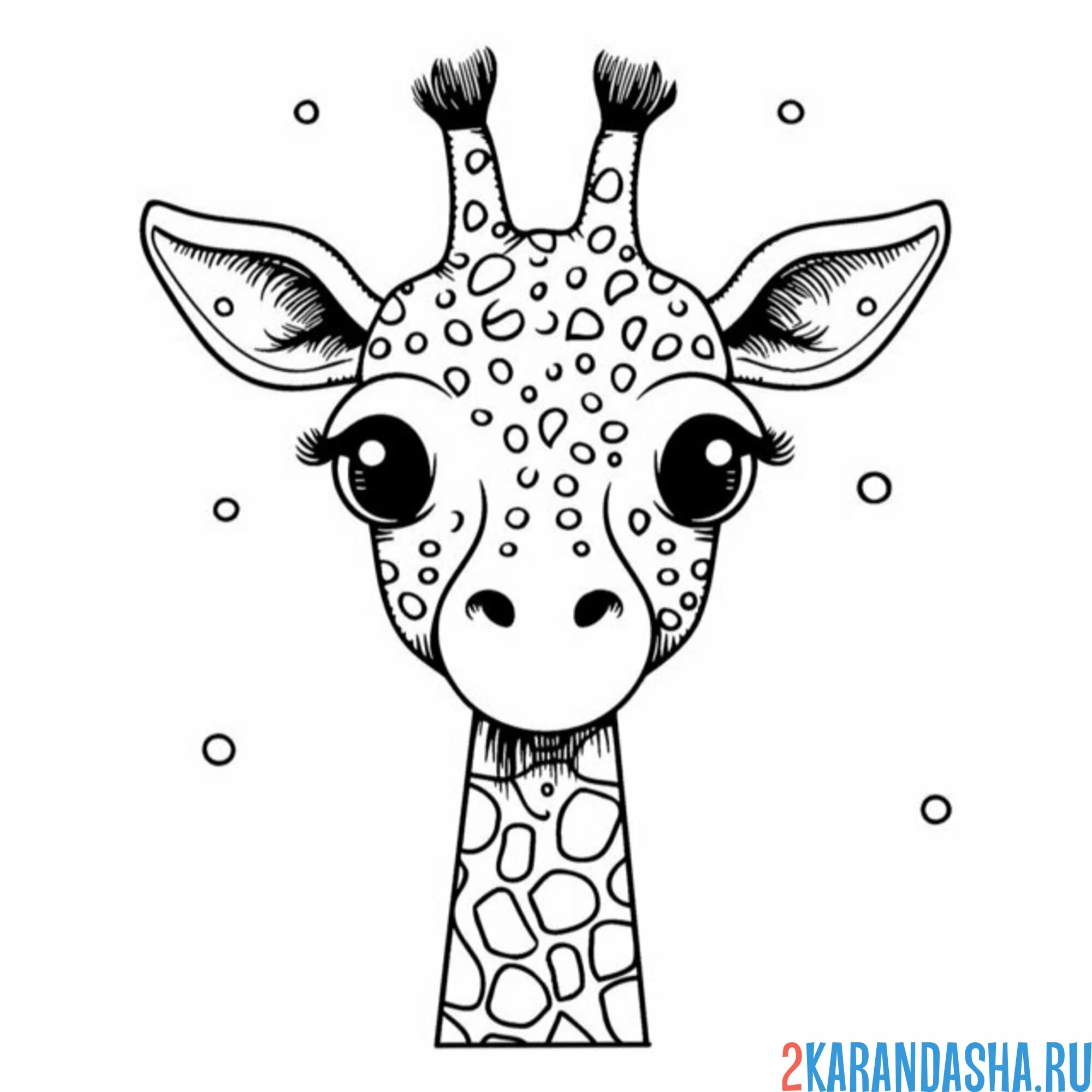Раскраска милый жирафик с ресничками