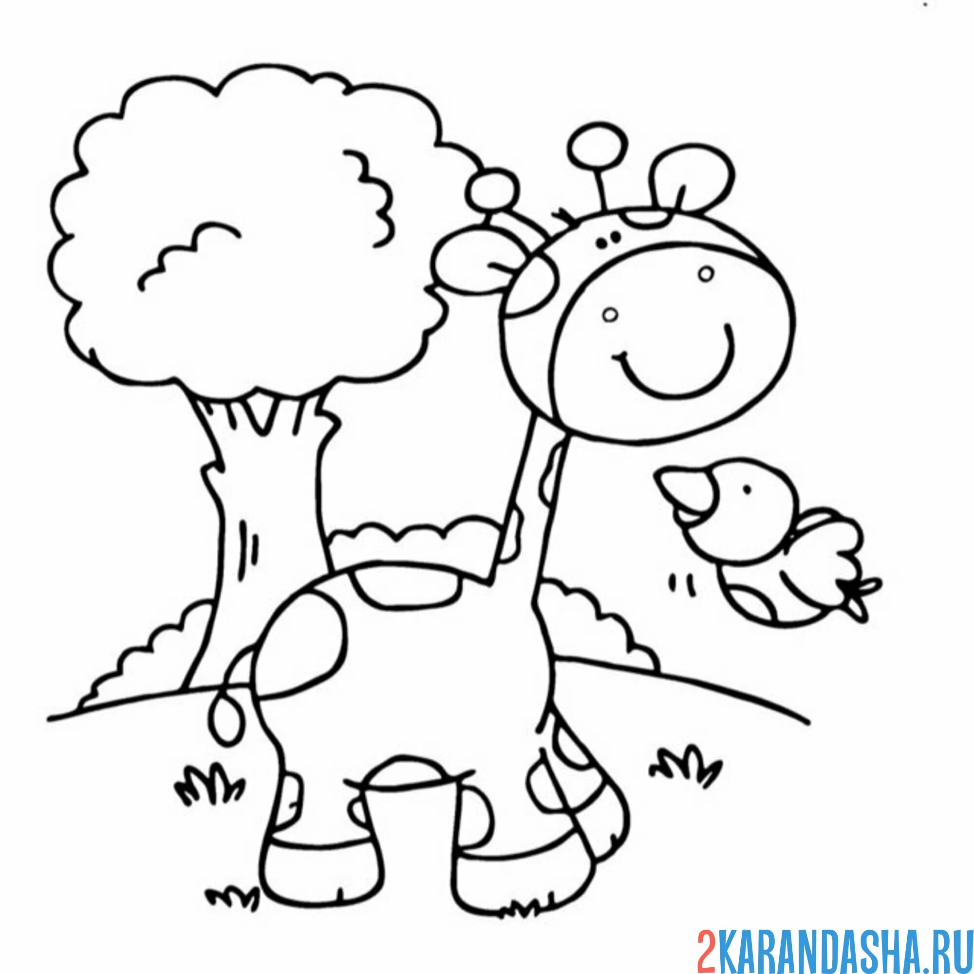 Раскраска жираф с птичкой