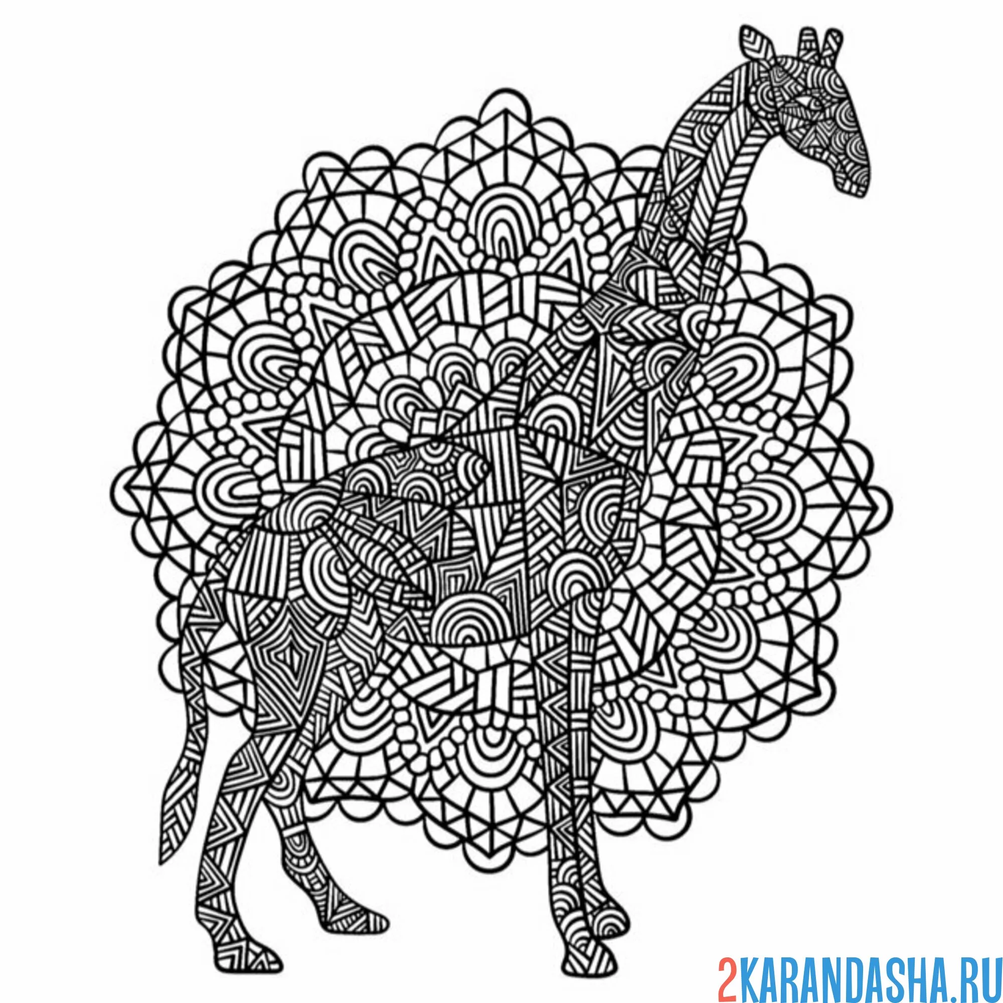 Раскраска мандала и жираф