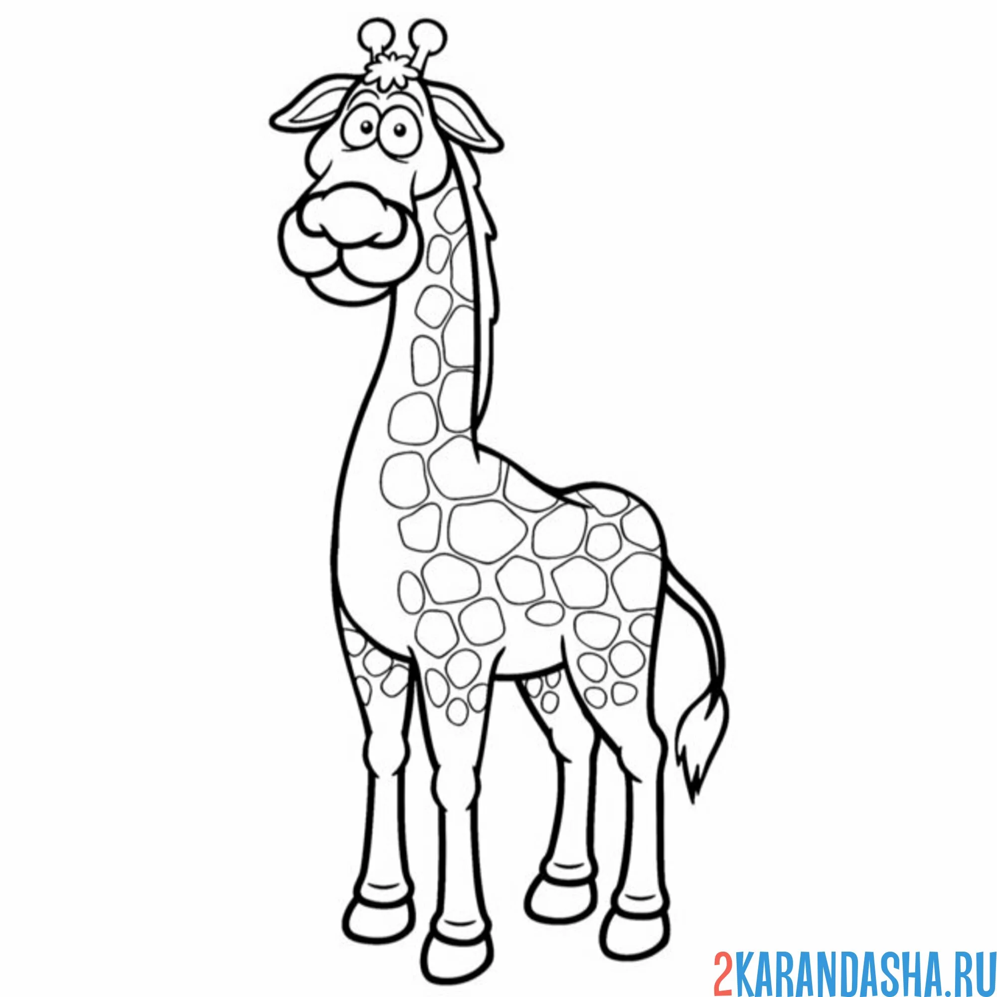 Раскраска мужчина жираф