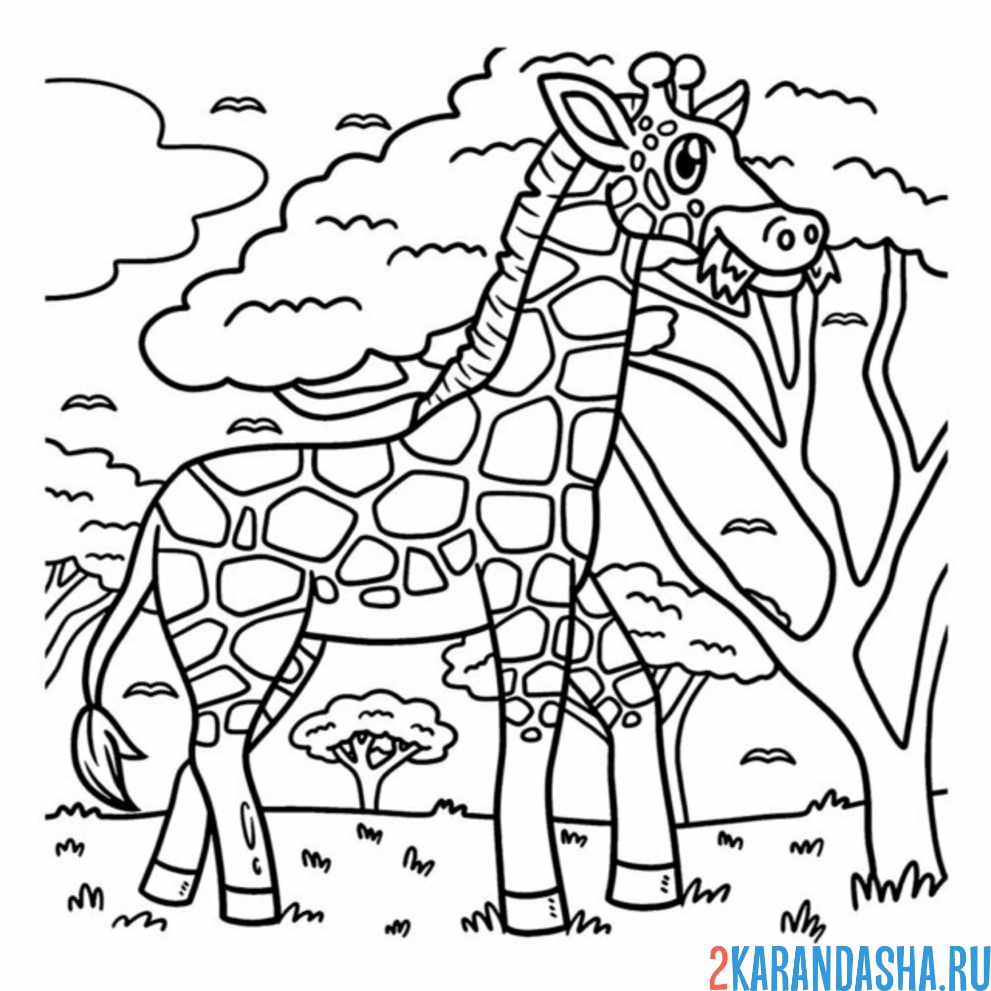 Раскраска жираф в саванне