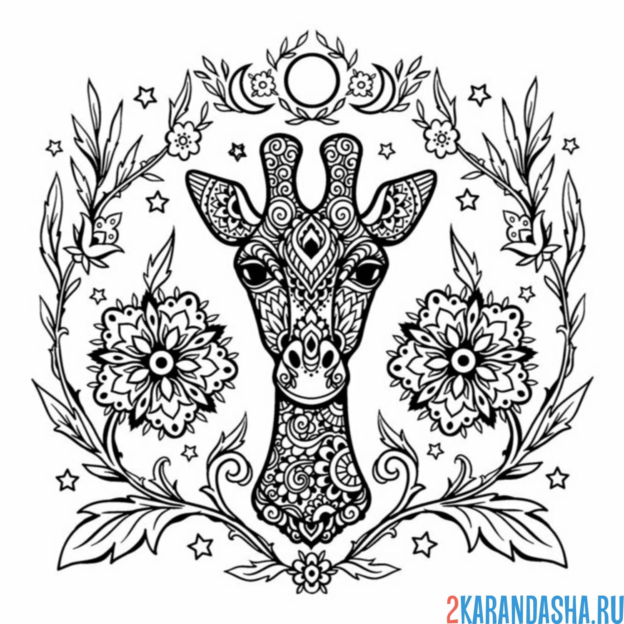 Раскраска жираф вокруг узоров
