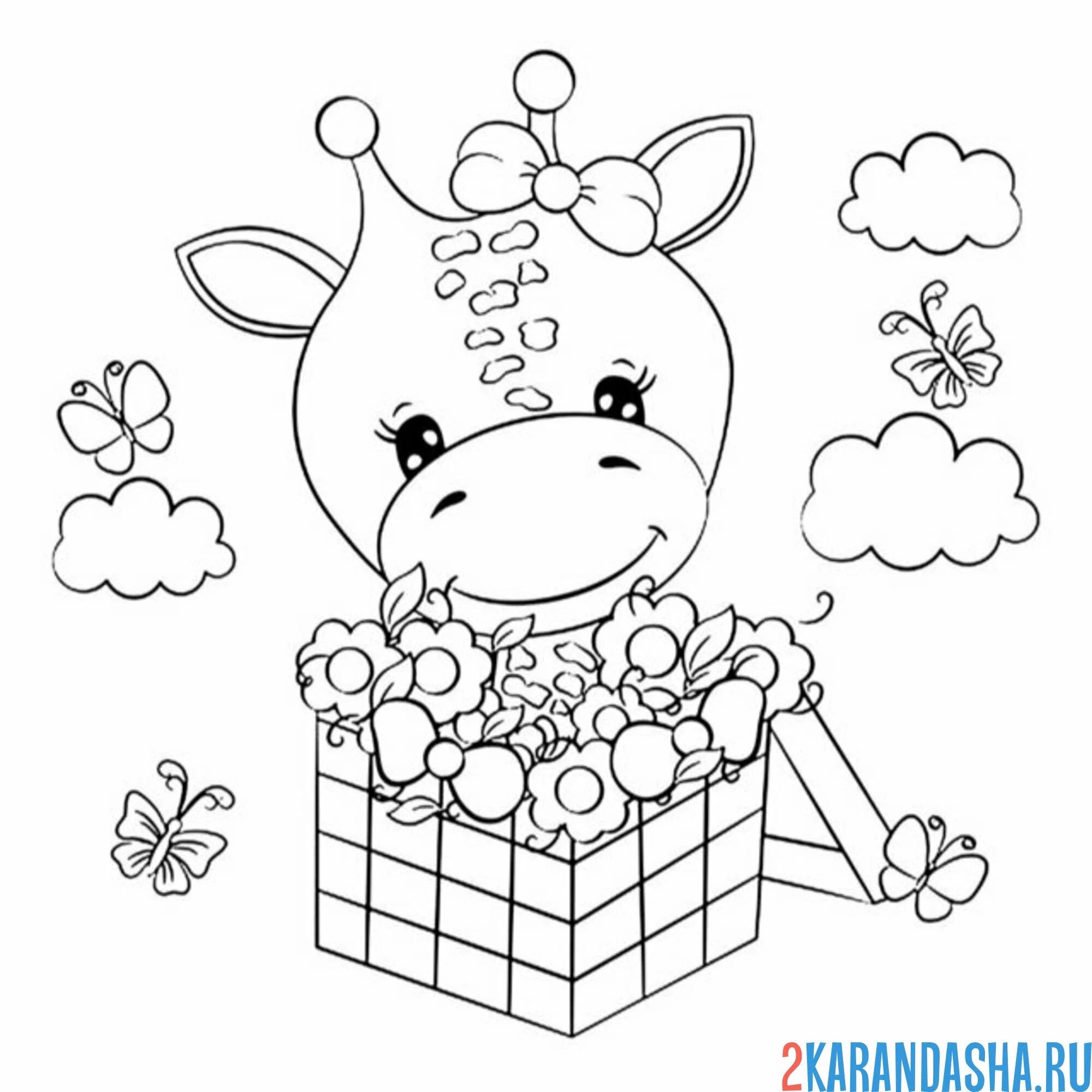 Раскраска жираф и коробка с цветами