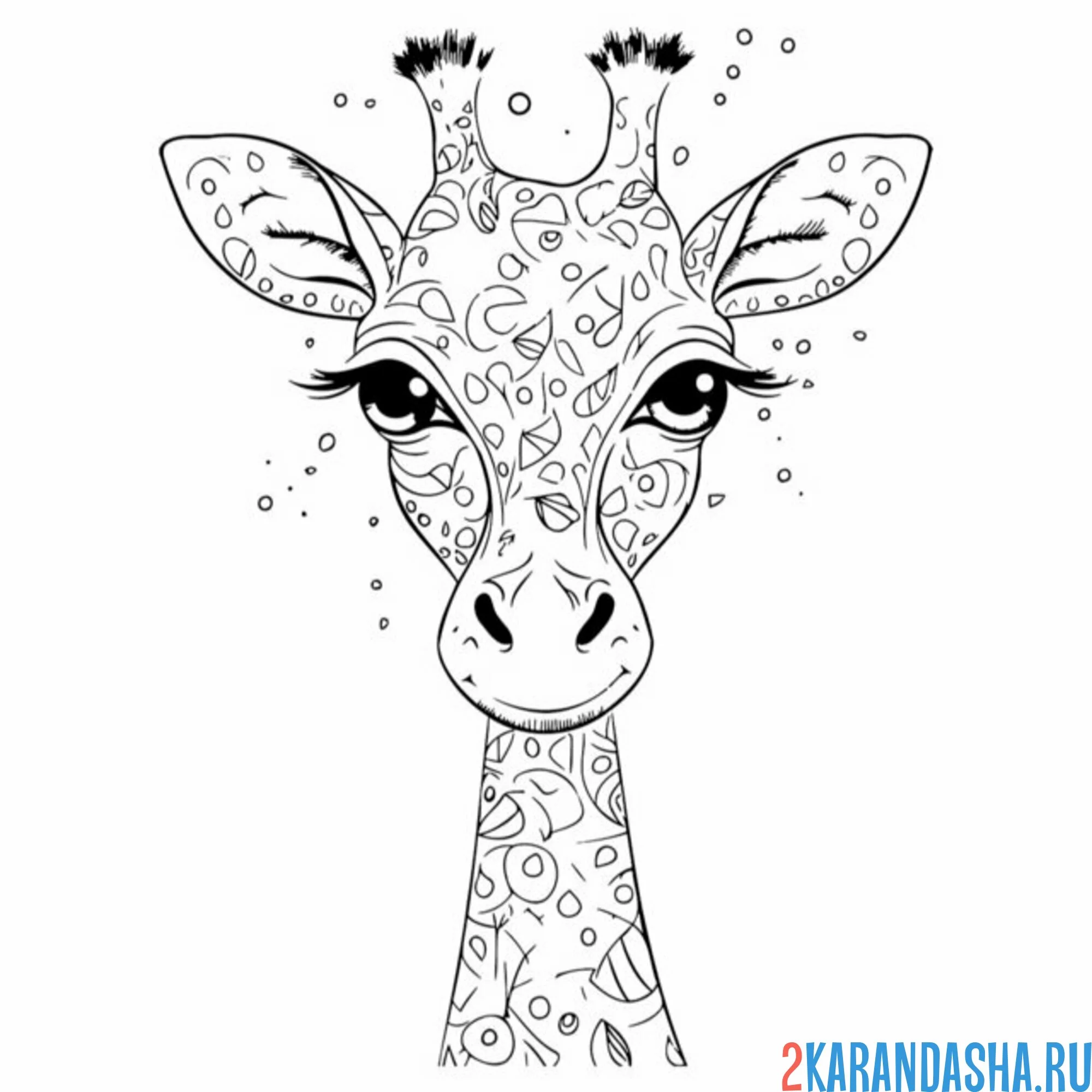 Раскраска красивый жираф голова