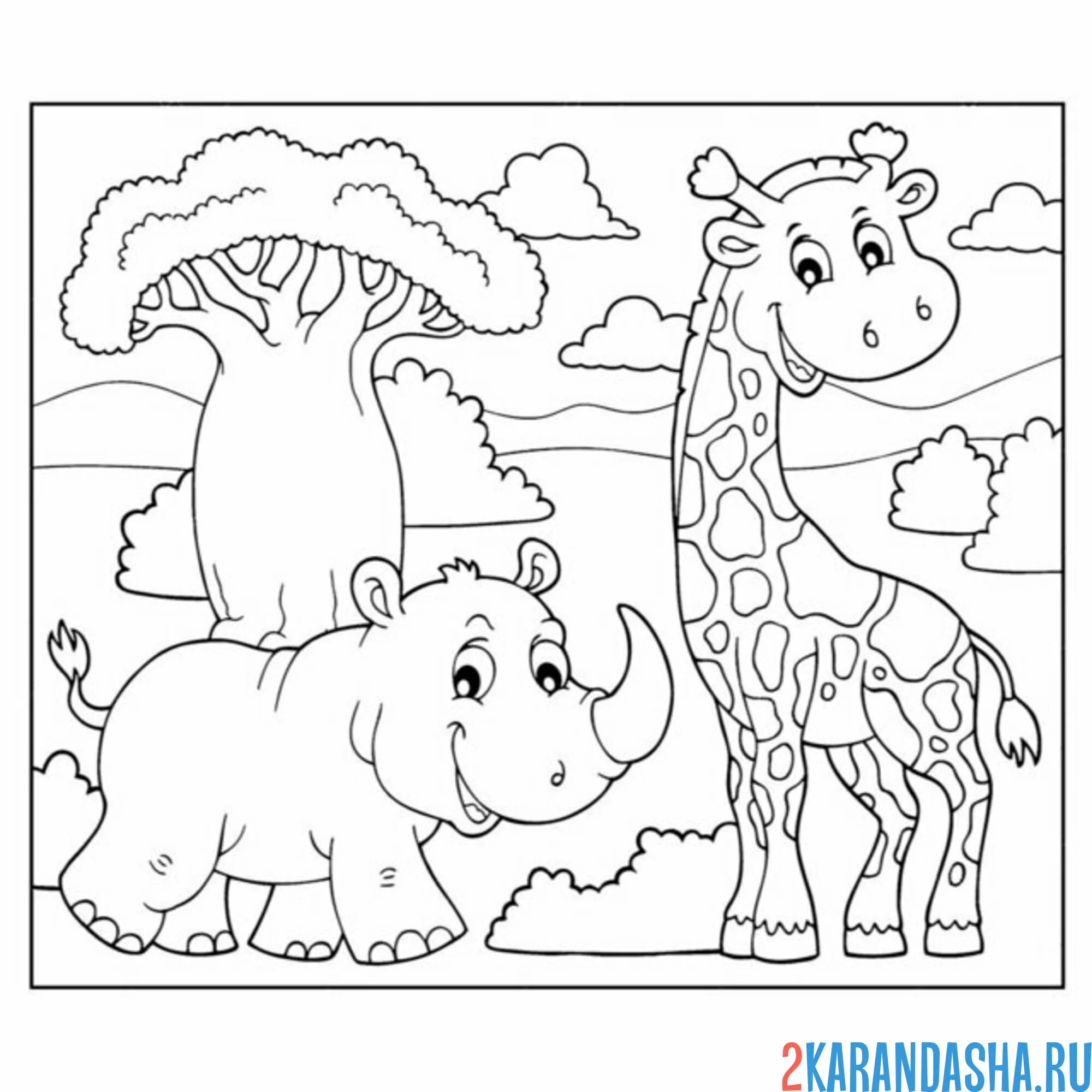 Раскраска носорог и жираф