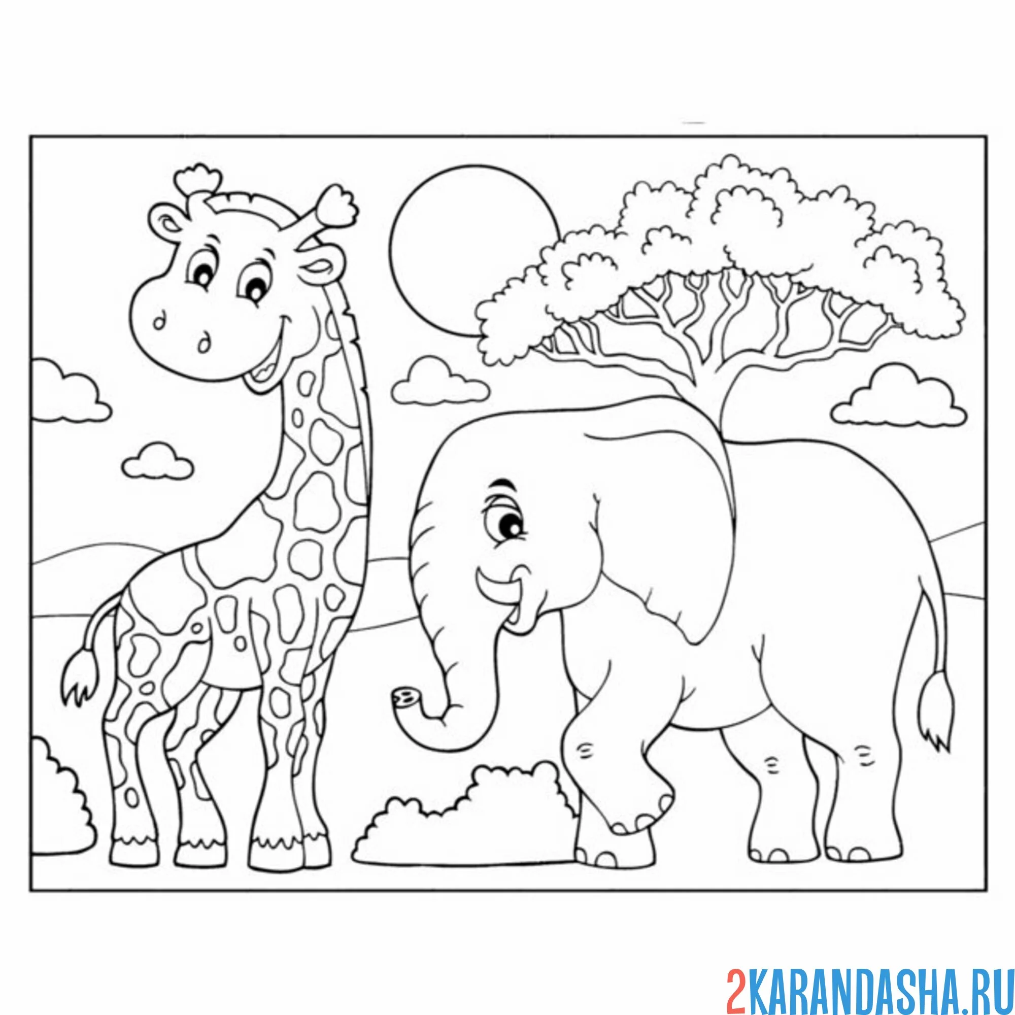 Раскраска слон и жираф