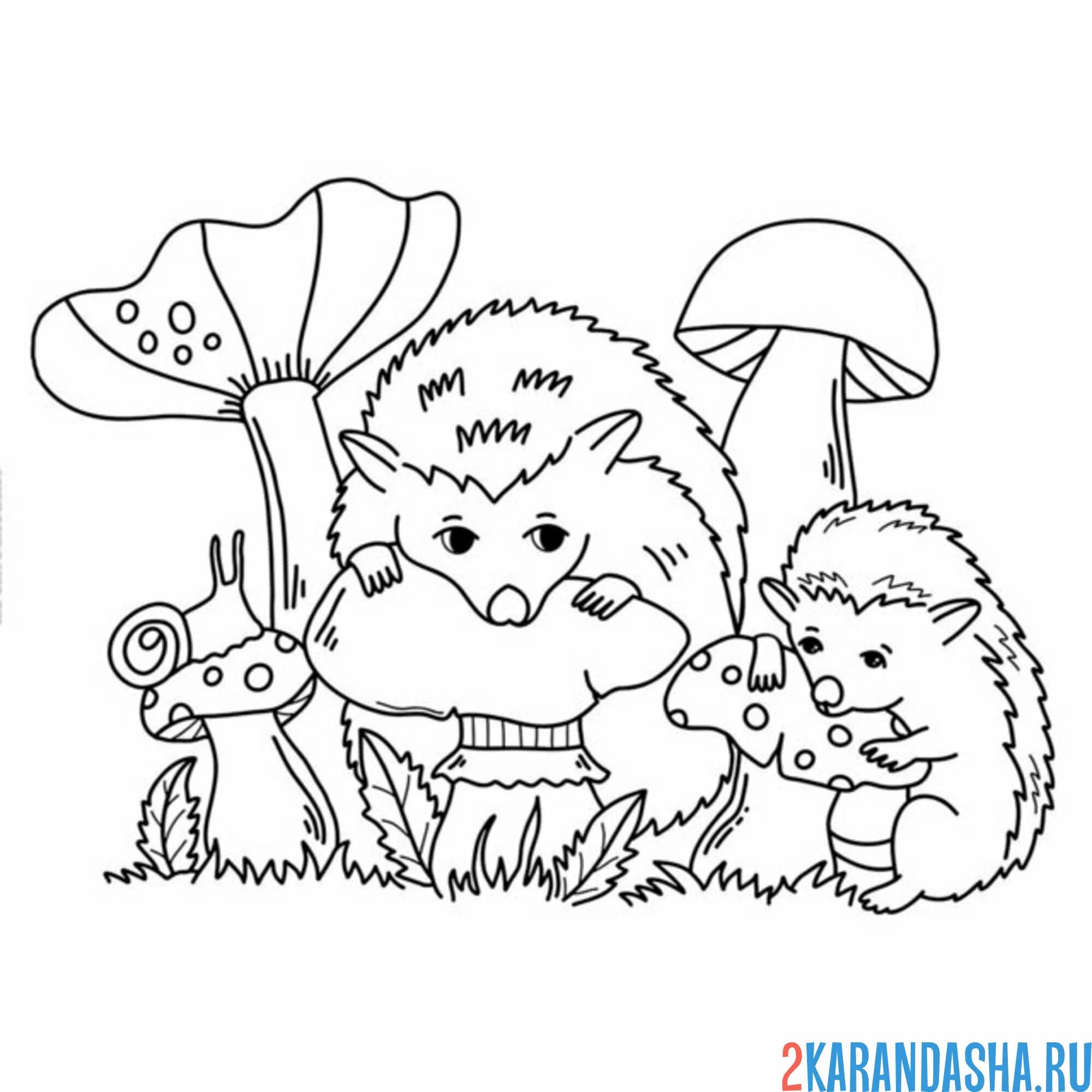 Раскраска ежики едят грибы