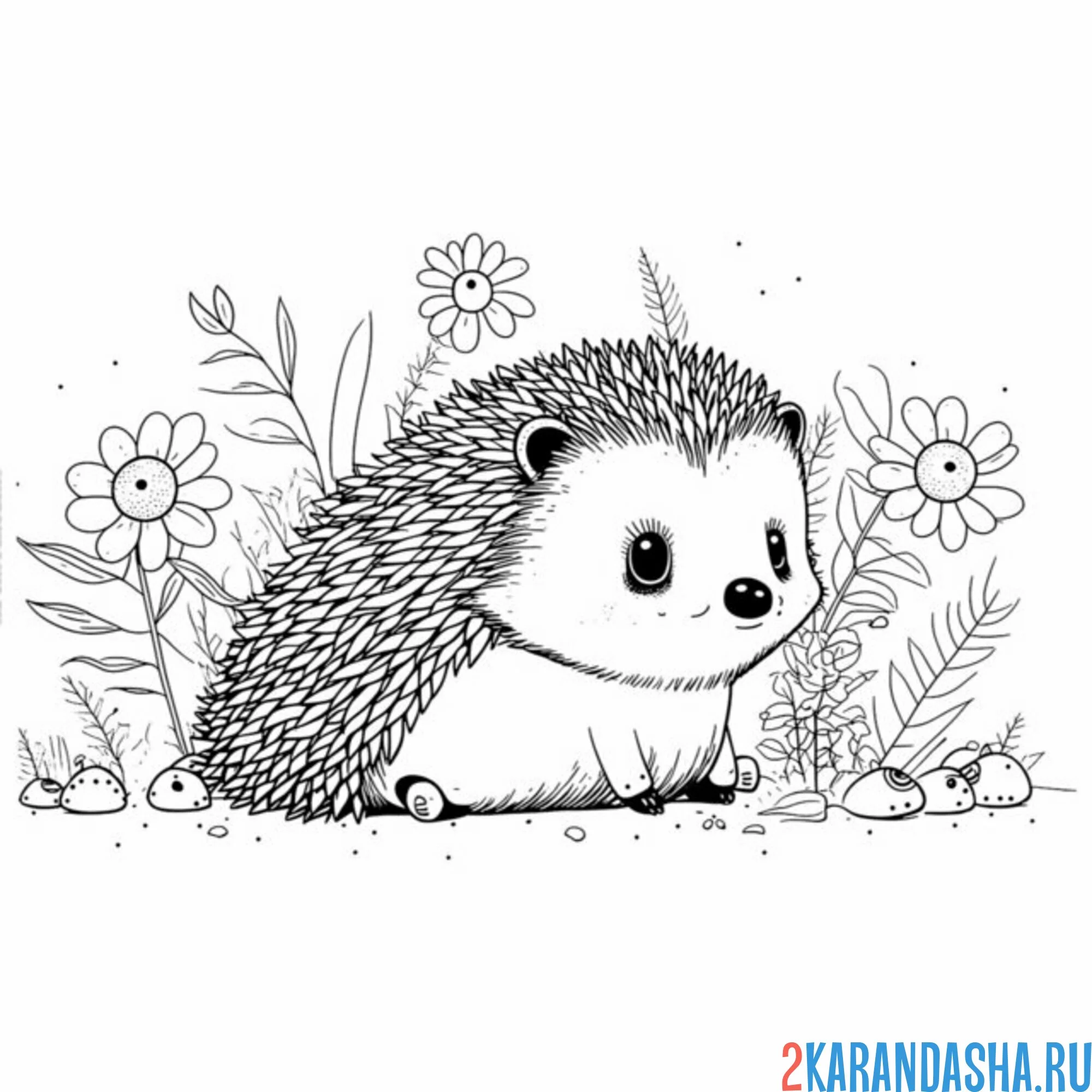 Раскраска ежик спрятался в цветах