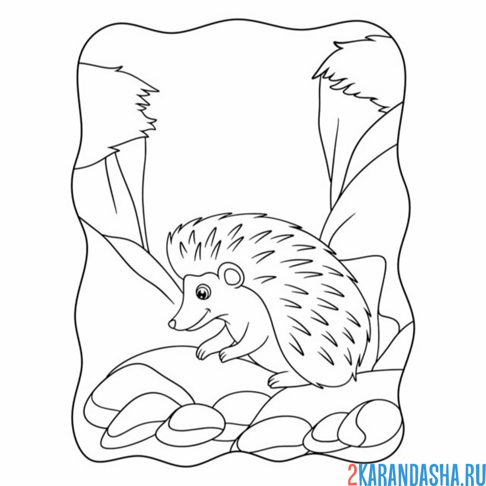 Раскраска ежик что-то нашел