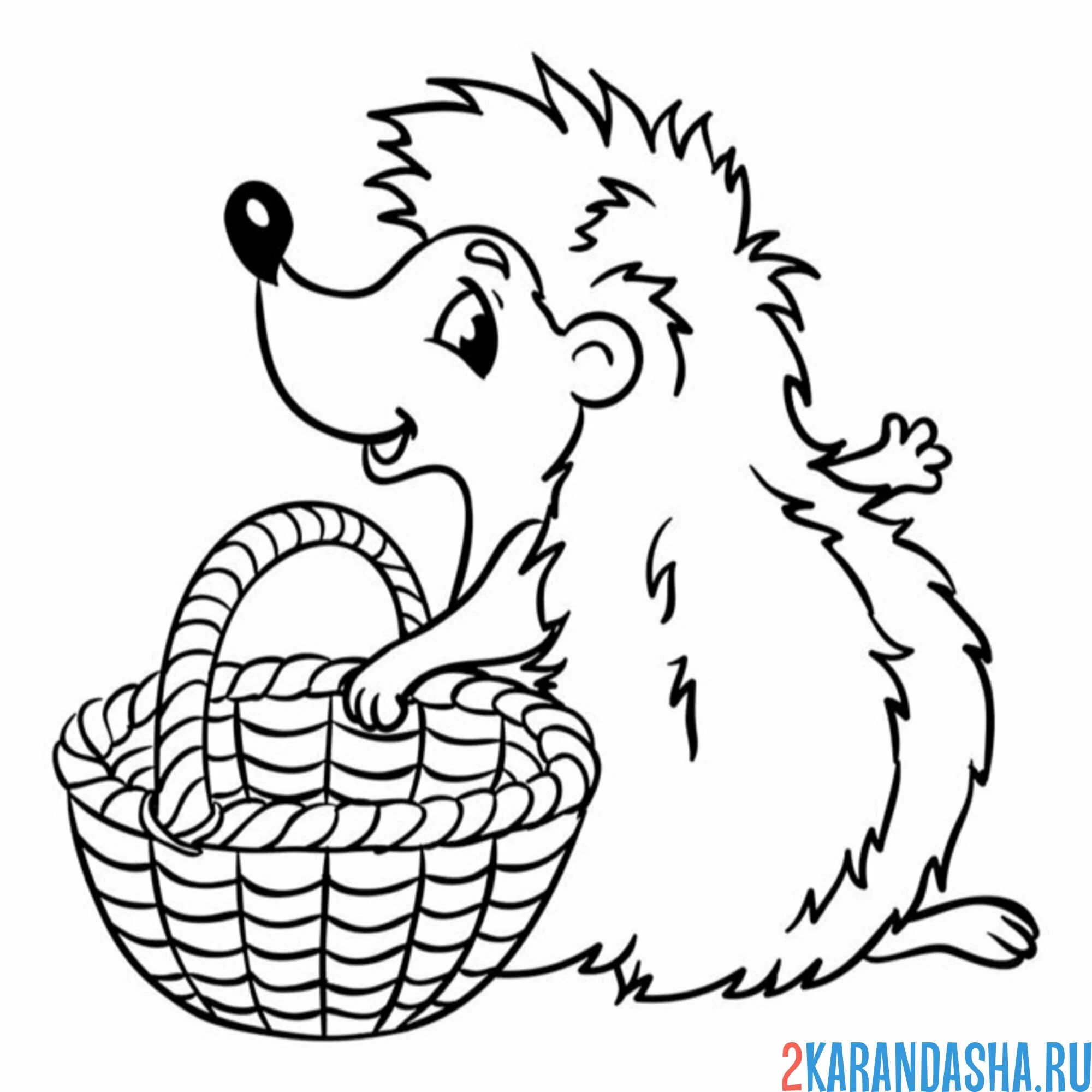 Раскраска ежик с корзинкой
